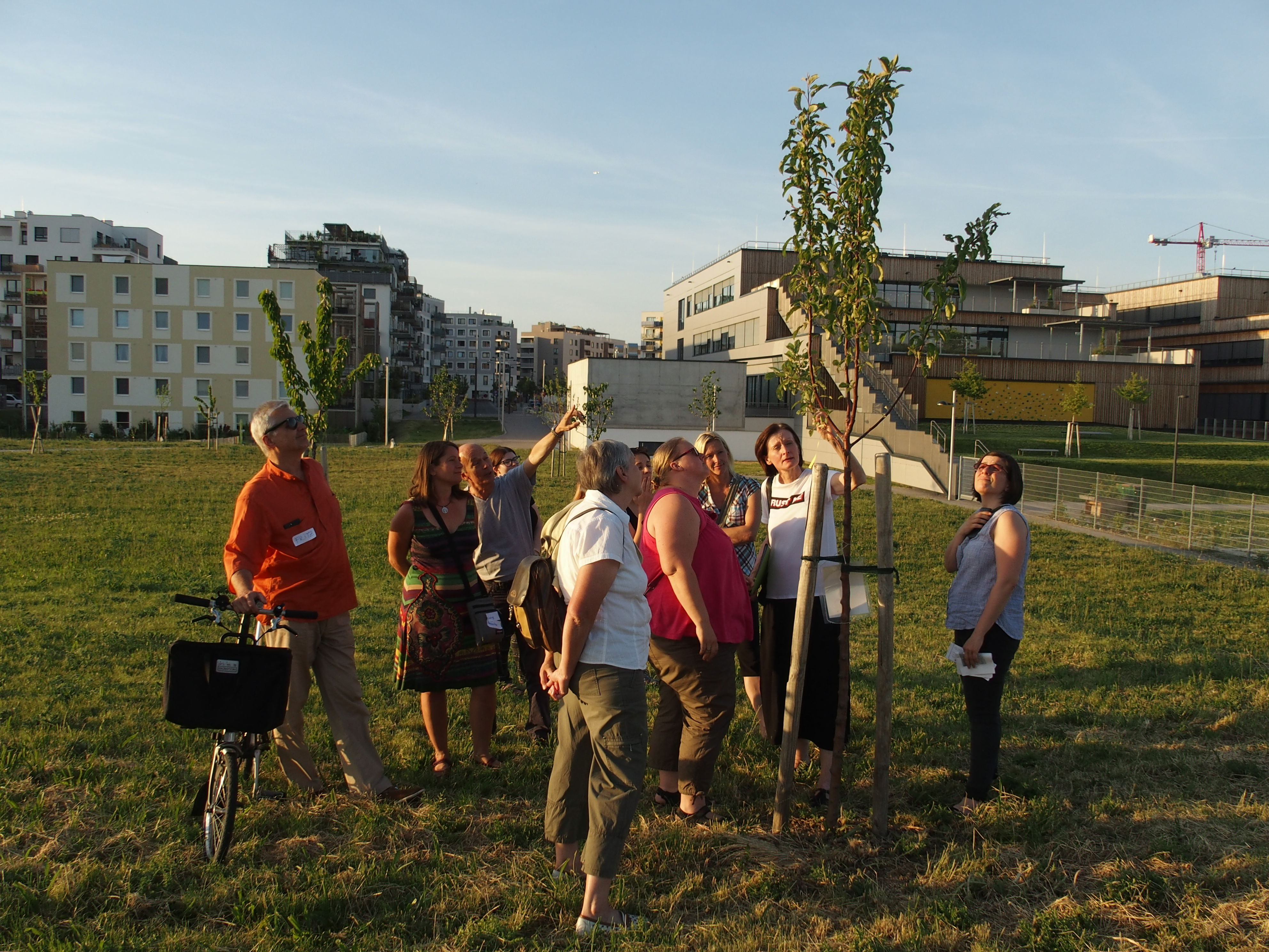 Menschen schauen auf einem Baum