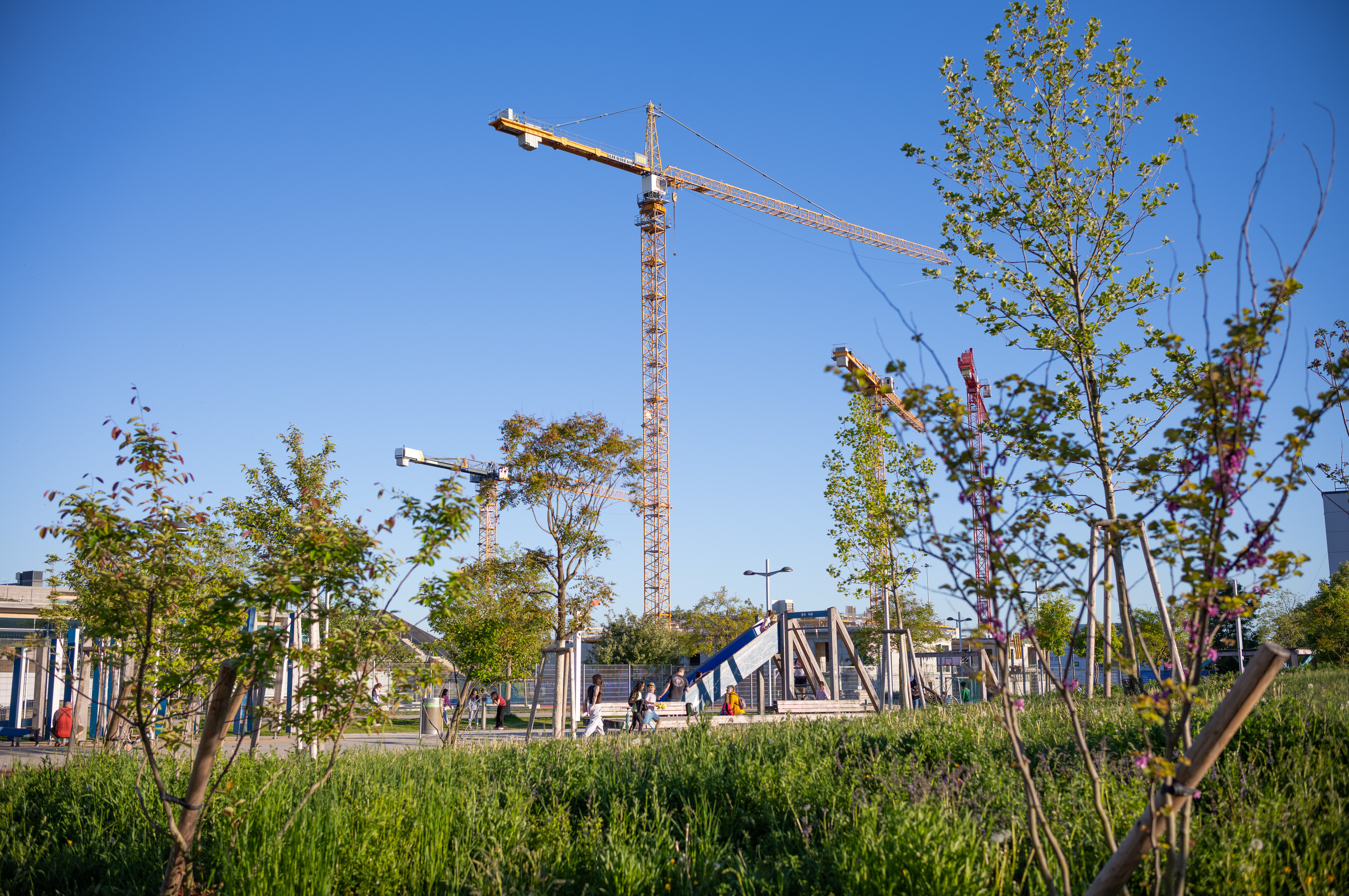 Ein Foto von einem Kran in der Seestadt in grüner Umgebung