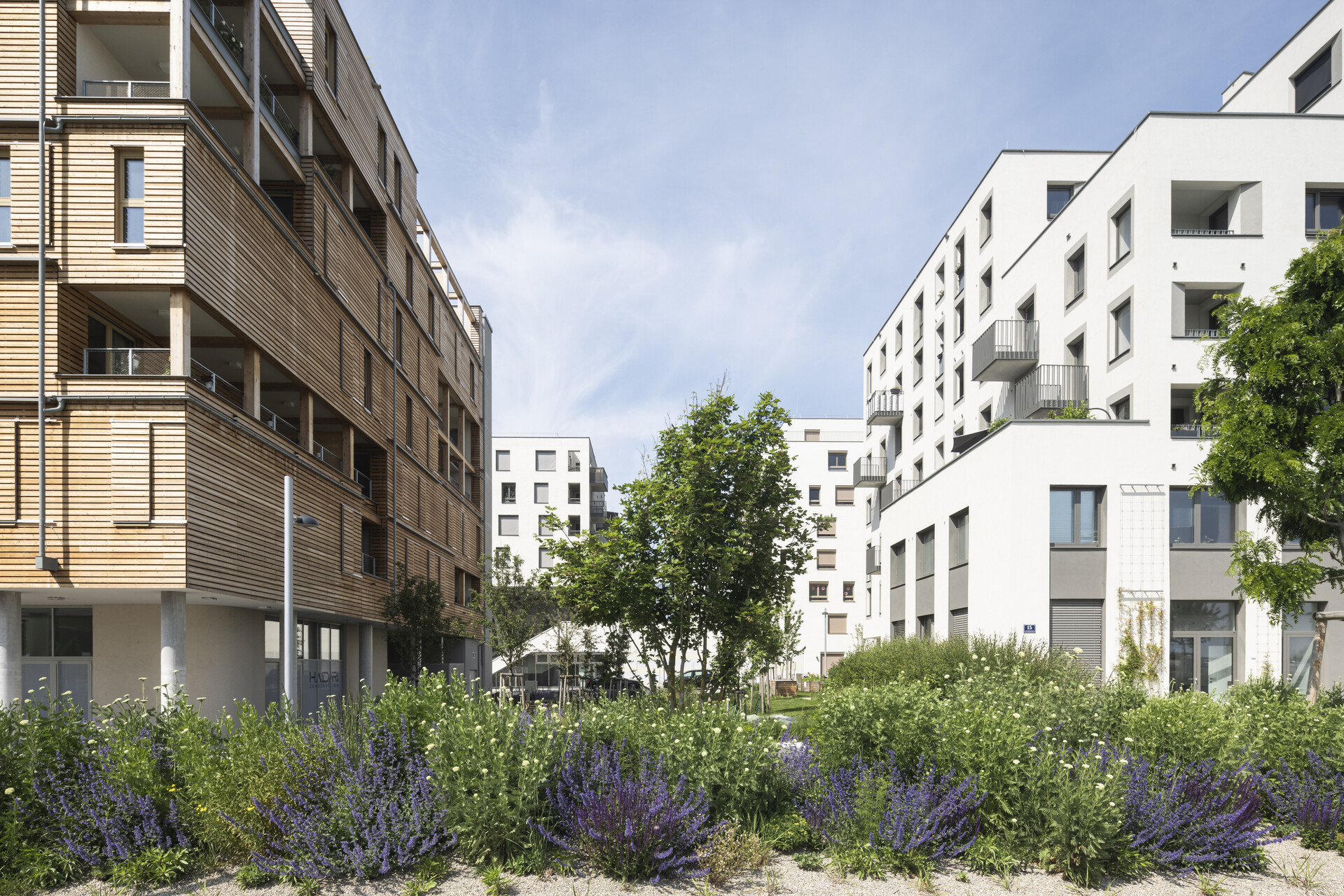 Zwei moderne Wohngebäude mit viel Grün dazwischen. 