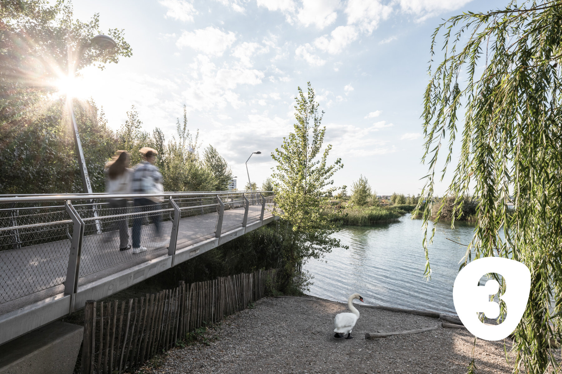 Pärchen geht über eine Brücke am See mit Bäumen und einem Schwan am Ufer
