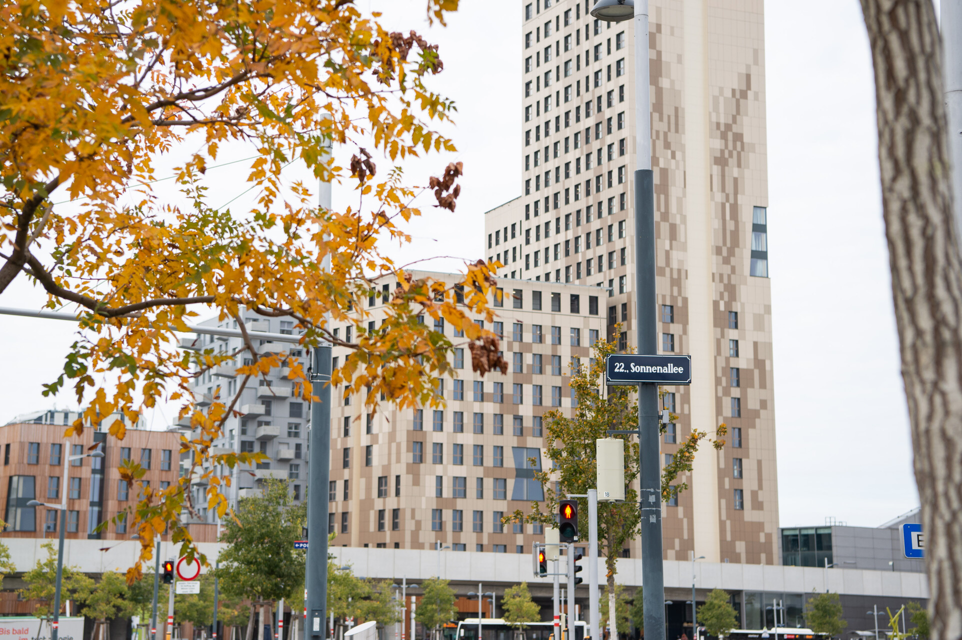 Die Sonnenallee ist die verbindende Linie der Seestadt. Herbstliches Bild mit einem Sonnenallee-Schild und einem modernen Gebäude im Hintergrund