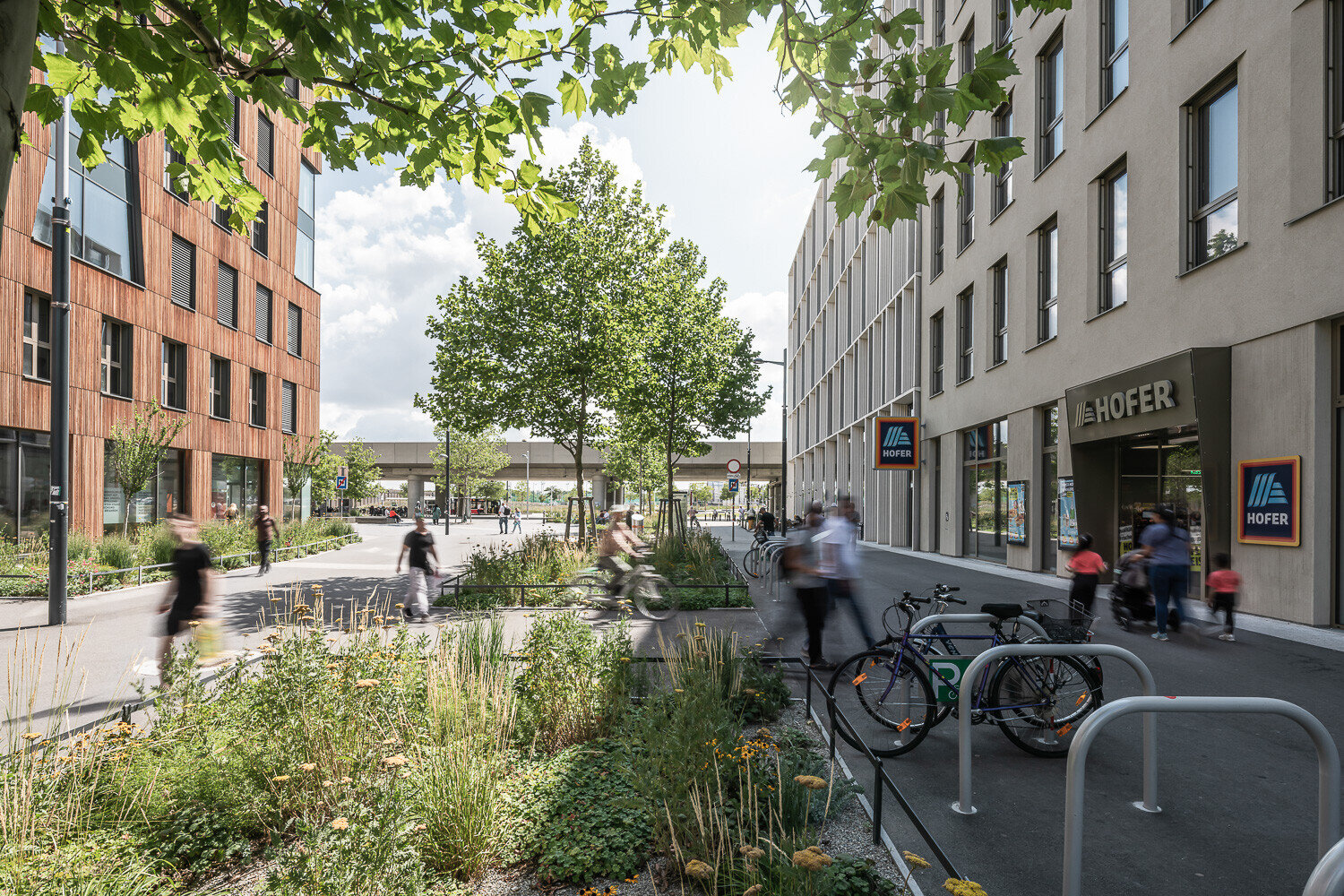 Seeparkquartier Belebte Straße in der Seestadt mit begrünten Gehwegen, Radfahrern und Fußgängern, rechts ein Hofer-Supermarkt, links moderne Gebäude mit Holzfassade.