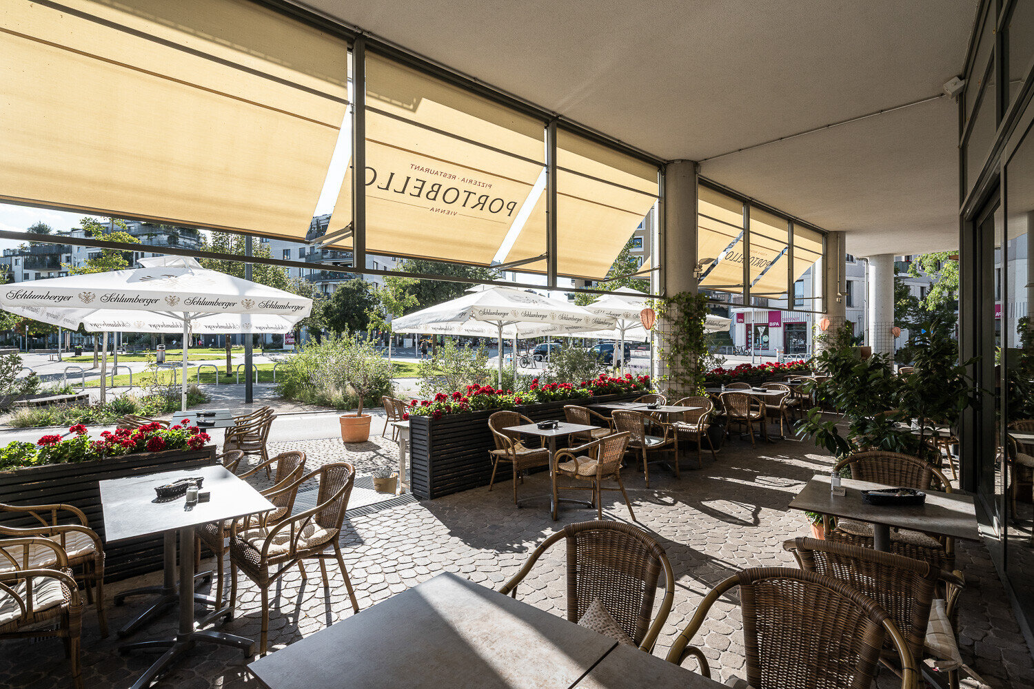 Gemütliche Caféterrasse mit Tischen und Stühlen, bepflanzt mit Blumen und umgeben von Sonnenschirmen, Blick auf die belebte Straße und Grünflächen der Seestadt.