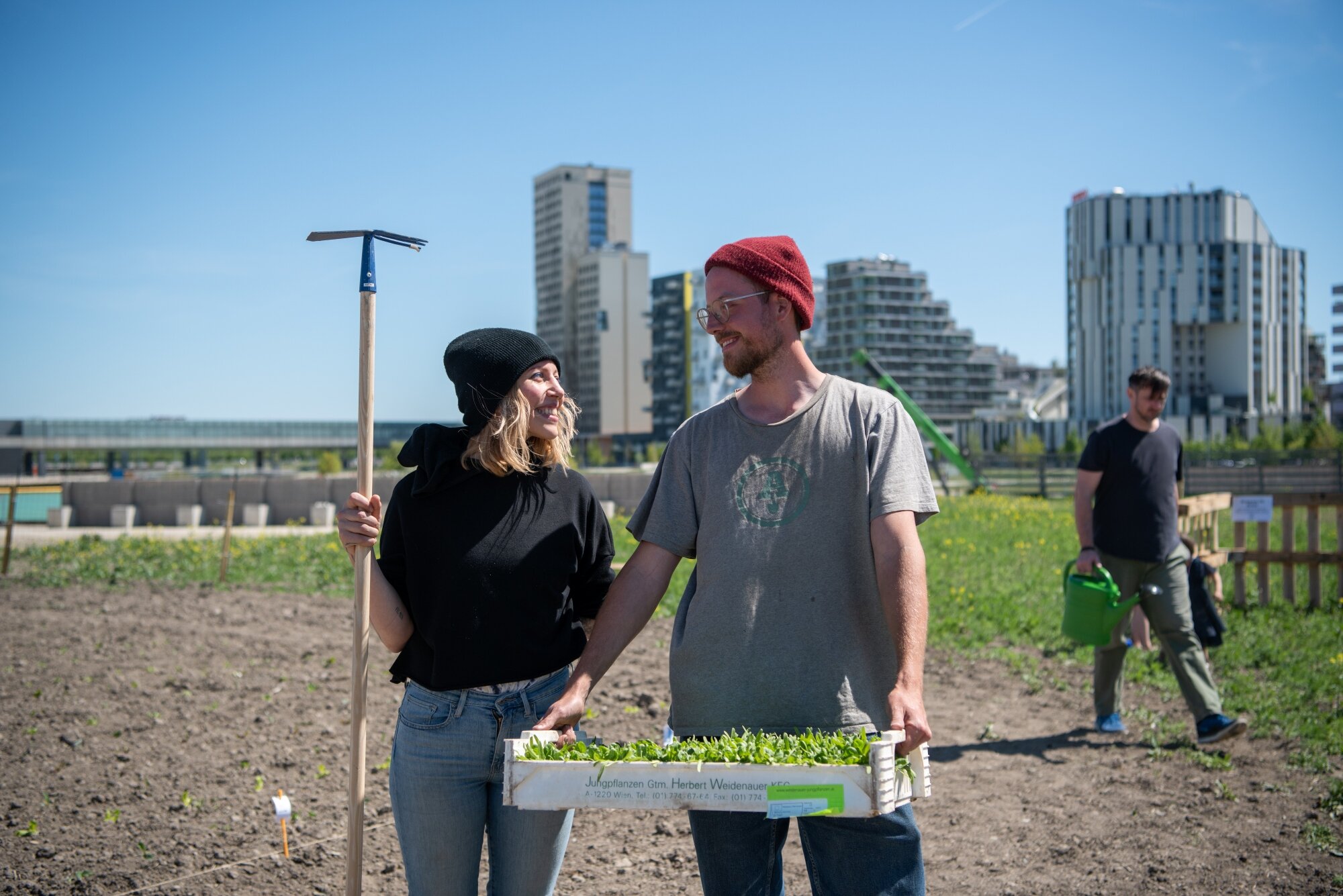 Ackerhelden Nachbarschaftgärten Seestadt ein junges Parr steht im Garten der Ackerhelden vor der Skyline der Seestadt