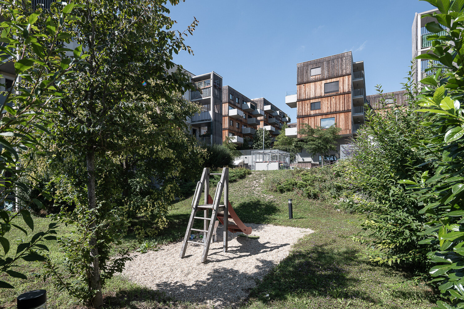 Wohnen und Spielen in aspern Seestadt kleiner Spielplatz mit viel Wiese und Bäumen in der Nähe eines Wohnhauses aus Holz