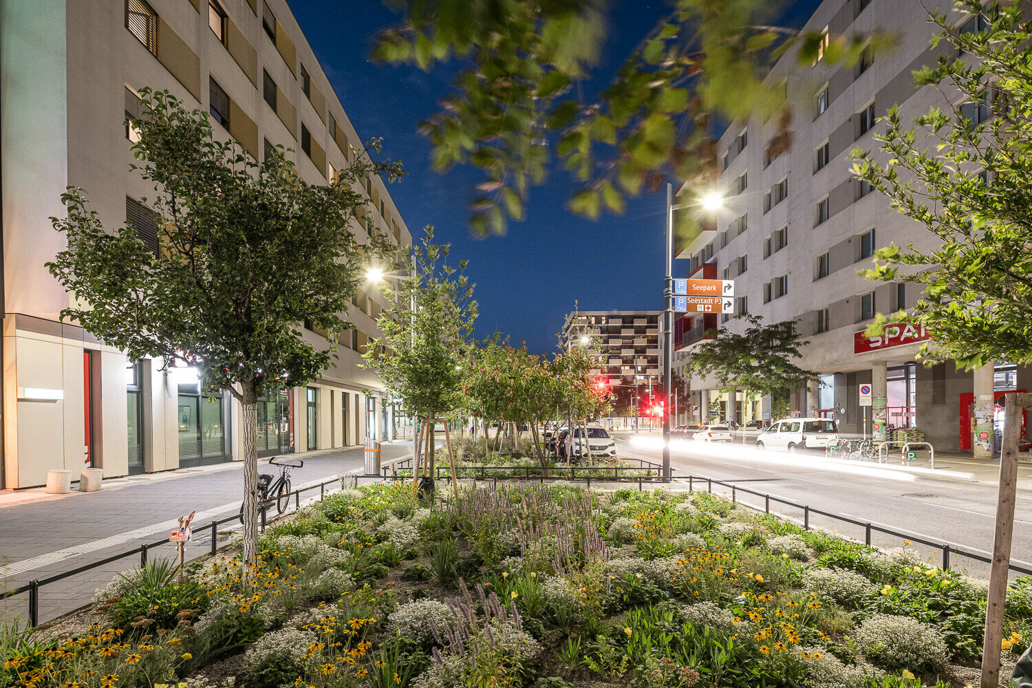 Leben bei Nacht Begrünte Mittelinsel mit Blumen und Bäumen zwischen Wohnhäusern in der Seestadt, beleuchtet von Straßenlaternen am Abend.