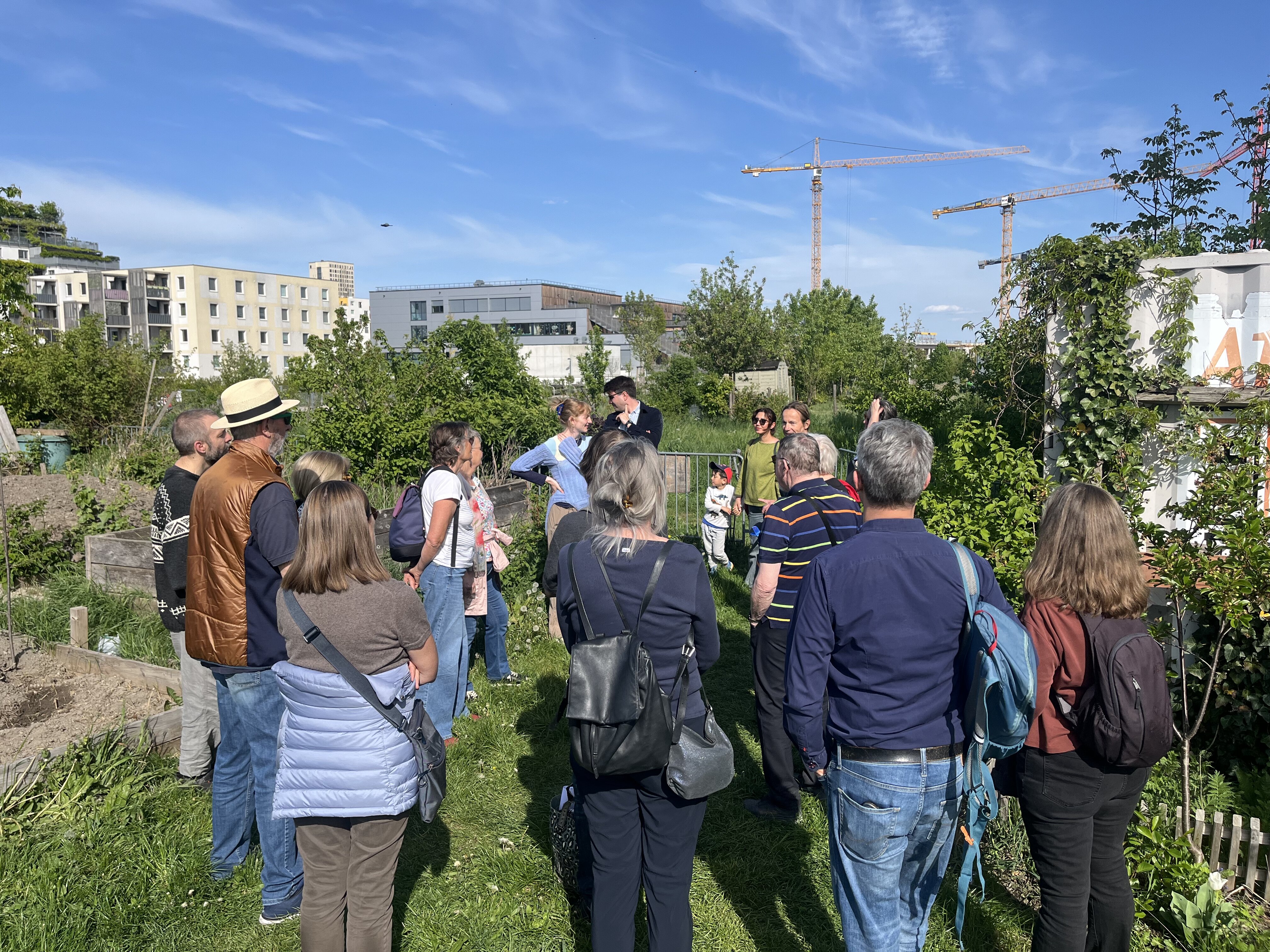 Foto der Gruppe, die an einer Führung durch die Seestadt teilnehmen, bei einem Stopp in einem Gemeinschaftsgarten