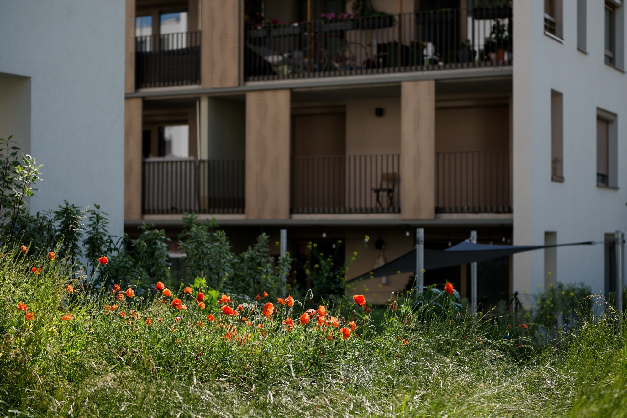 moderne Wohnungen mit großen Balkonen und Blick in den großen begrünten Innenhof