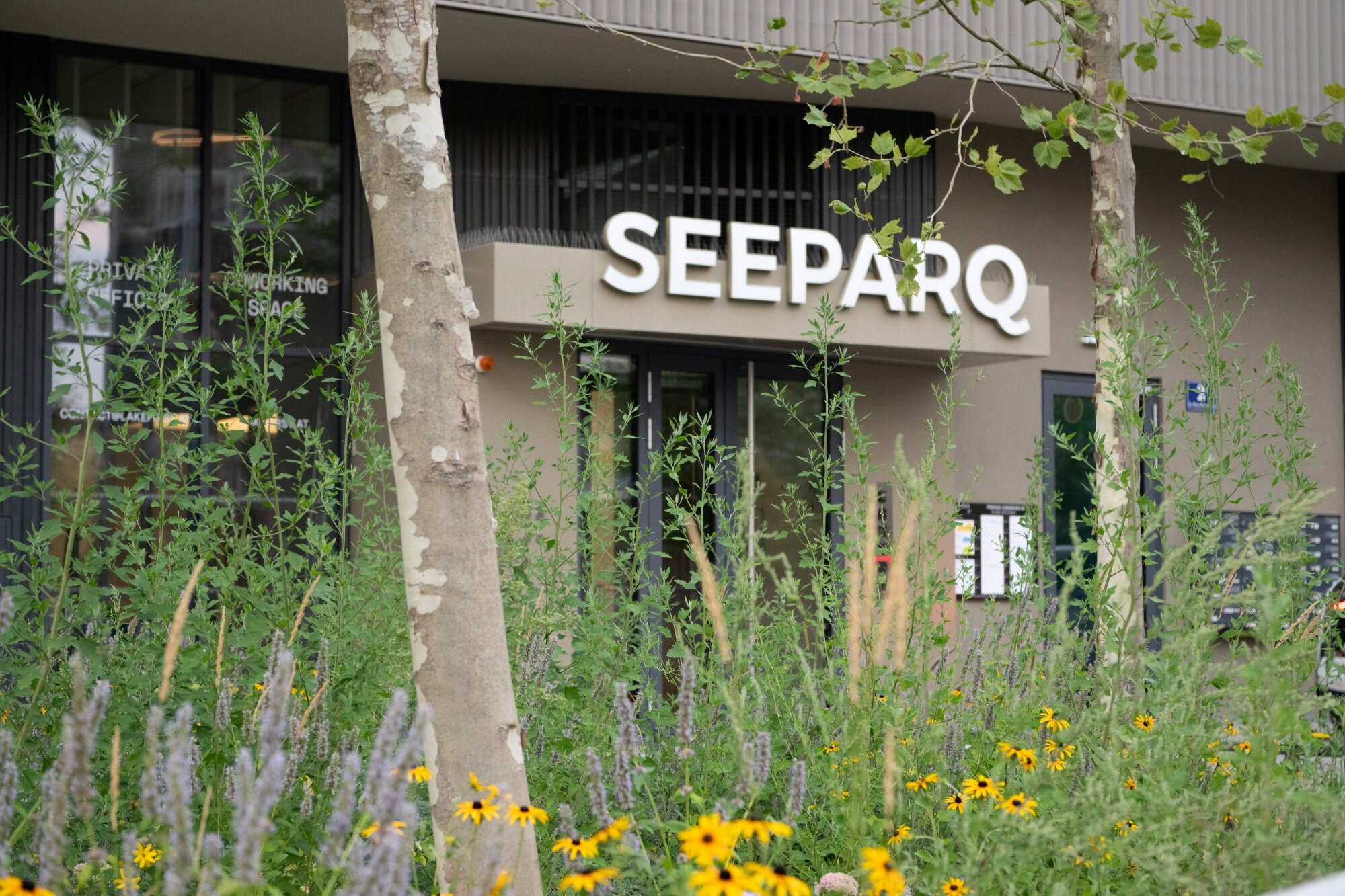 Eingang zu einem modernen Haus einer Baugruppe mit viel Begrünung