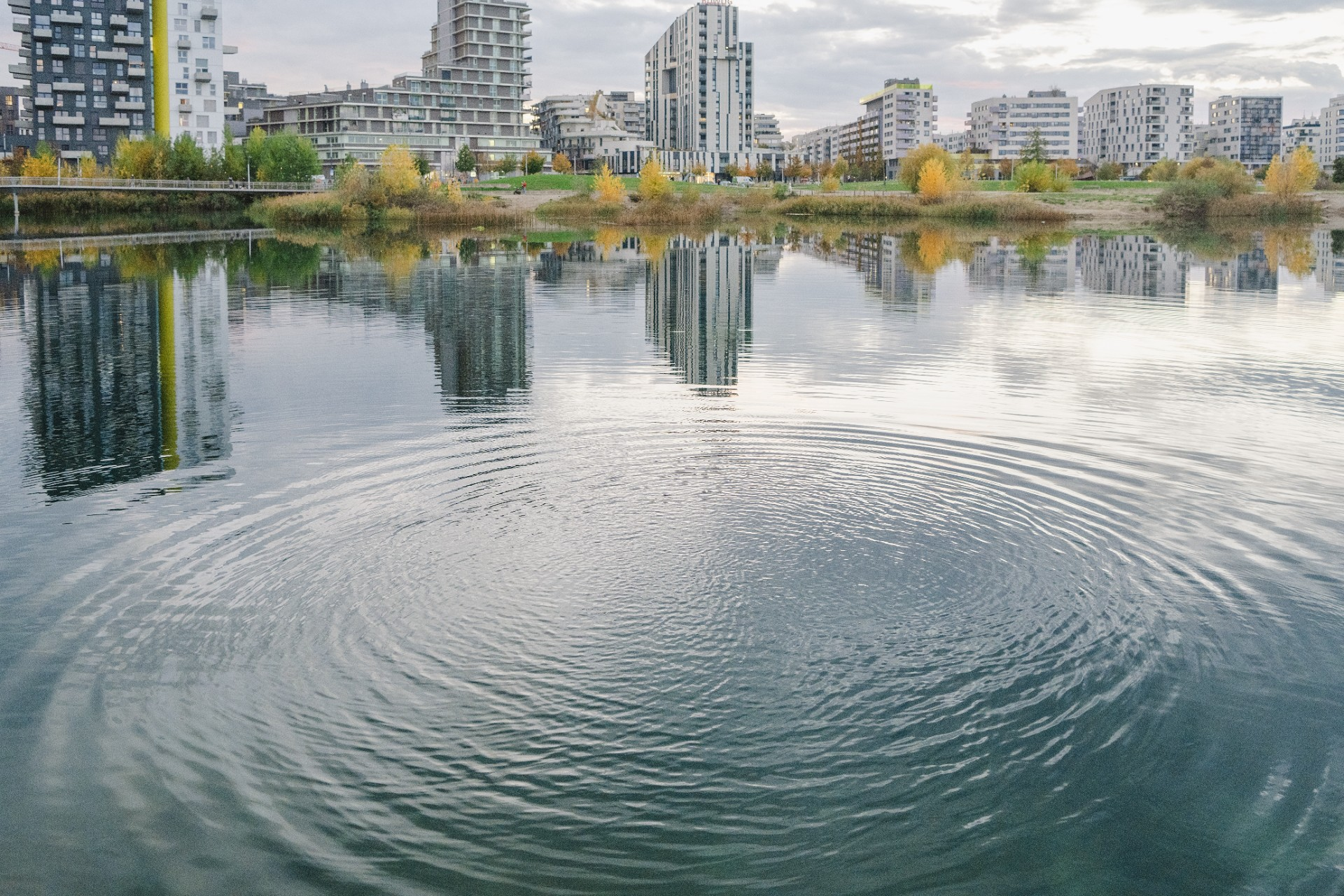 Wasserfläche in der Seestadt mit Kreisen im Wasser.