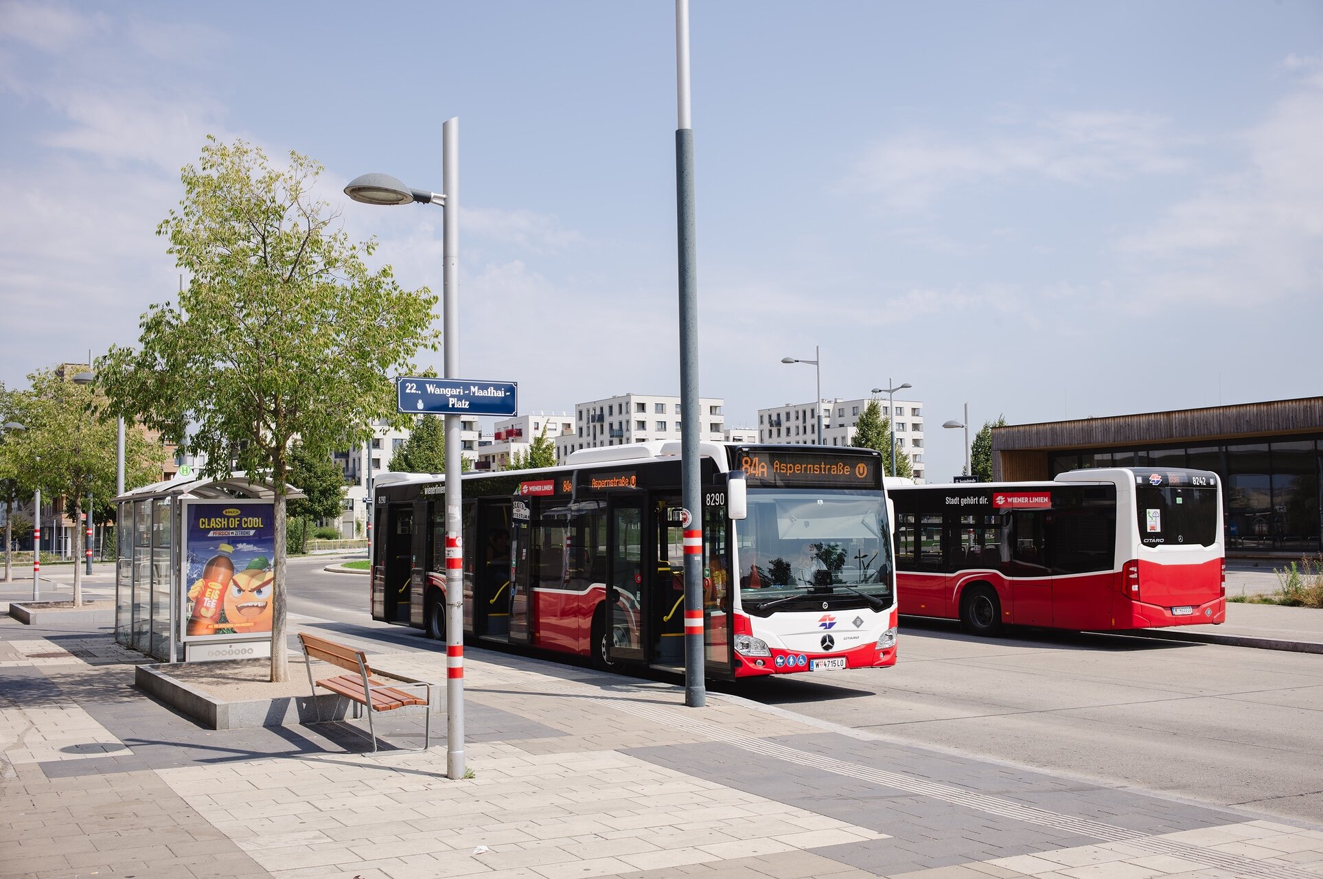 Busse der Wiener Linien am Wangari-Maathai-Platz in der Seestadt Wien – modernes Nahverkehrsangebot mit mehreren Linien für gute Anbindung und nachhaltige Mobilität.