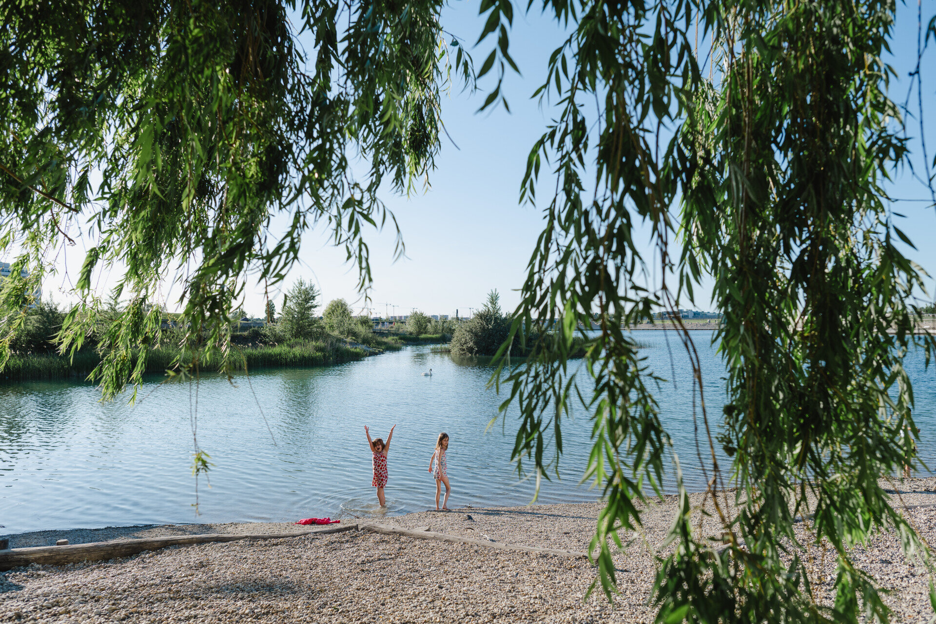 Kinder spielen an einem breiten Kieselstrand am See mit Schwänen