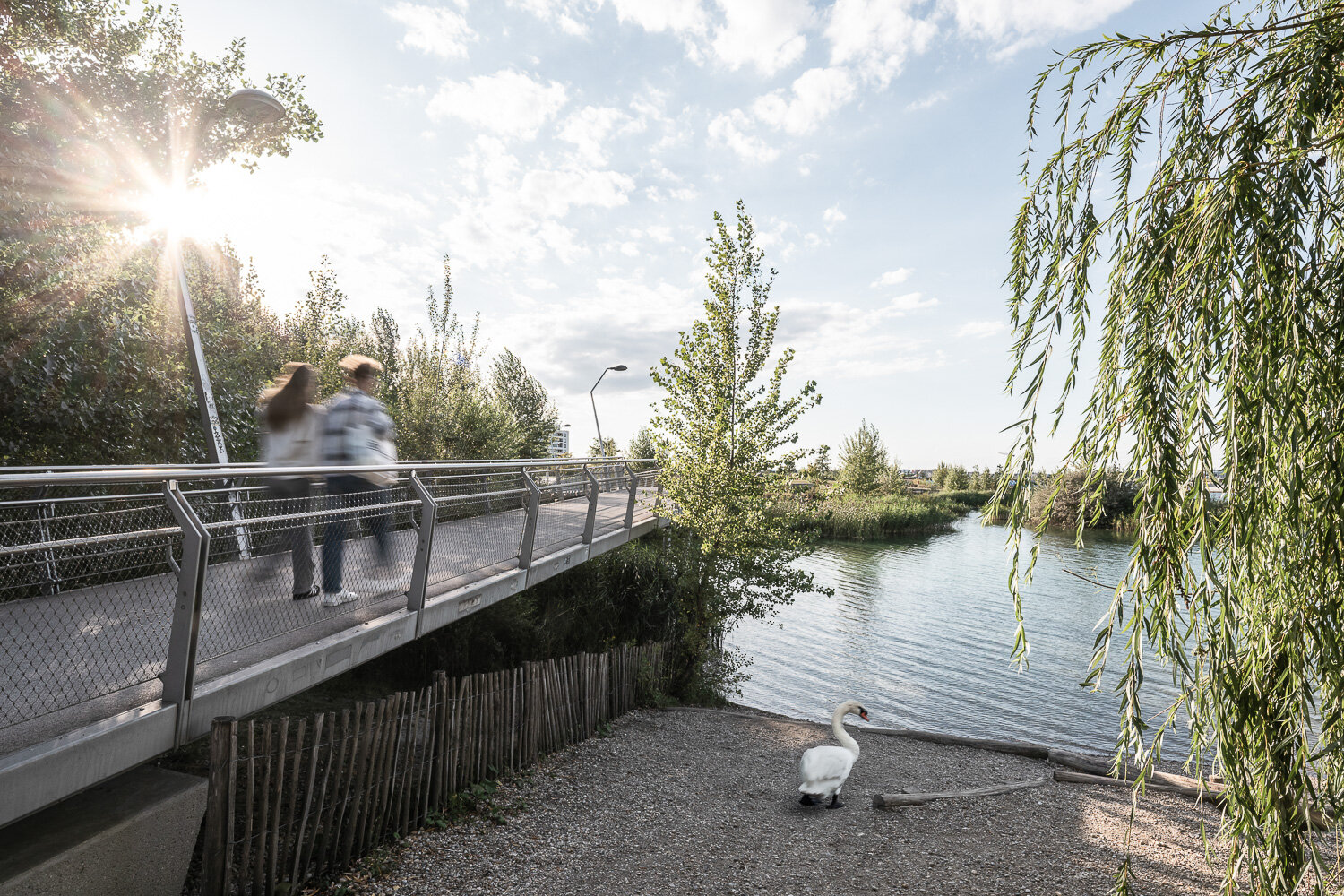 Seepromenade mit Blick auf den See ein Pärchen geht über eine von Bäumen und Pflanzen eingerahmte Brücke am aspernen See und betrachtet Schwäne am Badezugang