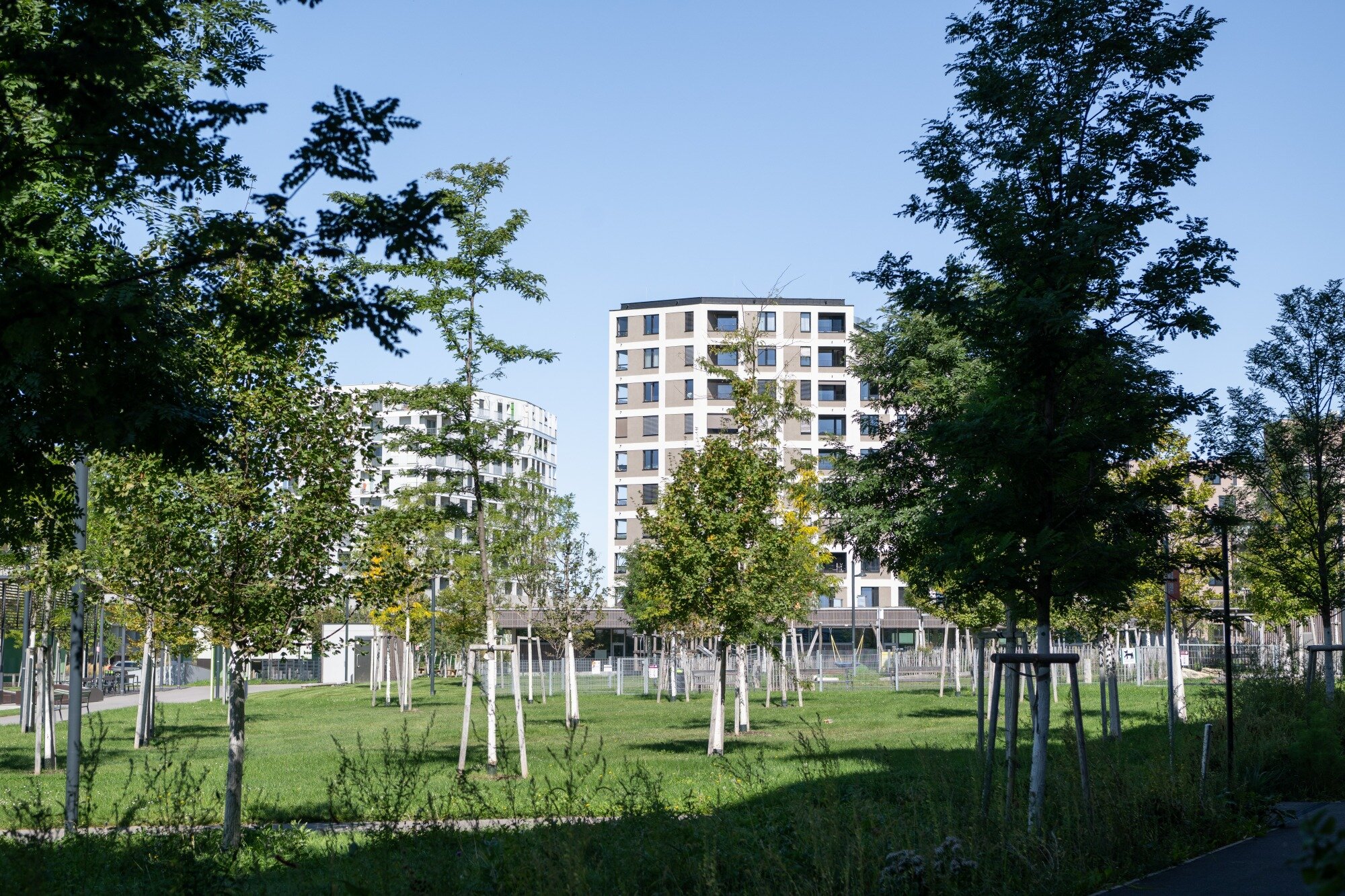 biodiverser Elinor-Ostrom-Park ein großer Park mit vielen Bäumen und Schatten an der U-Bahn und vor modernen Wohnhäusern