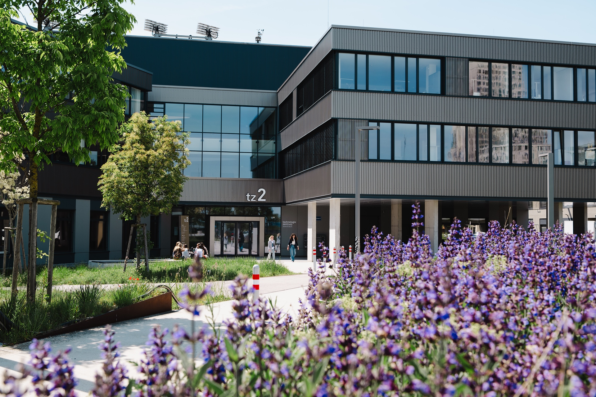 tz2 Technologiezentrum Seestadt modernes Gewrbegebäude für Innovation und Industrie mit vorgelagertem Grün