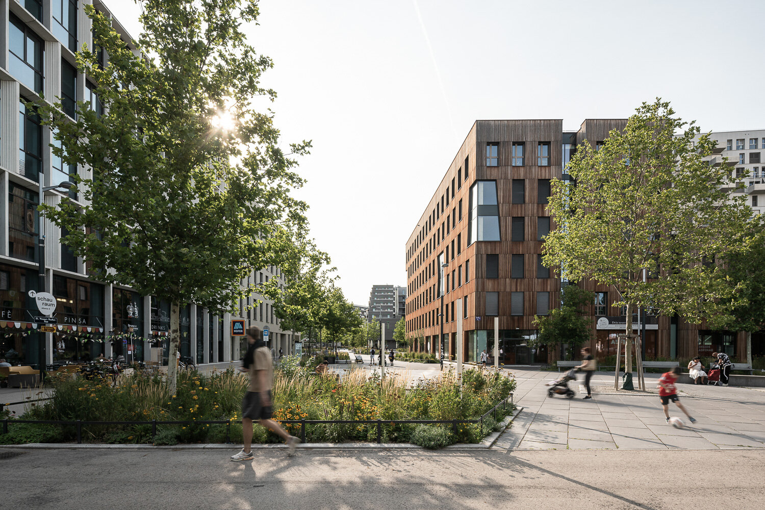 zentraler Platz mit Cafe an der U2 Seestadt begrünter Platz mit modernen Gebäuden und Bäumen, Cafe und spielenden Kindern