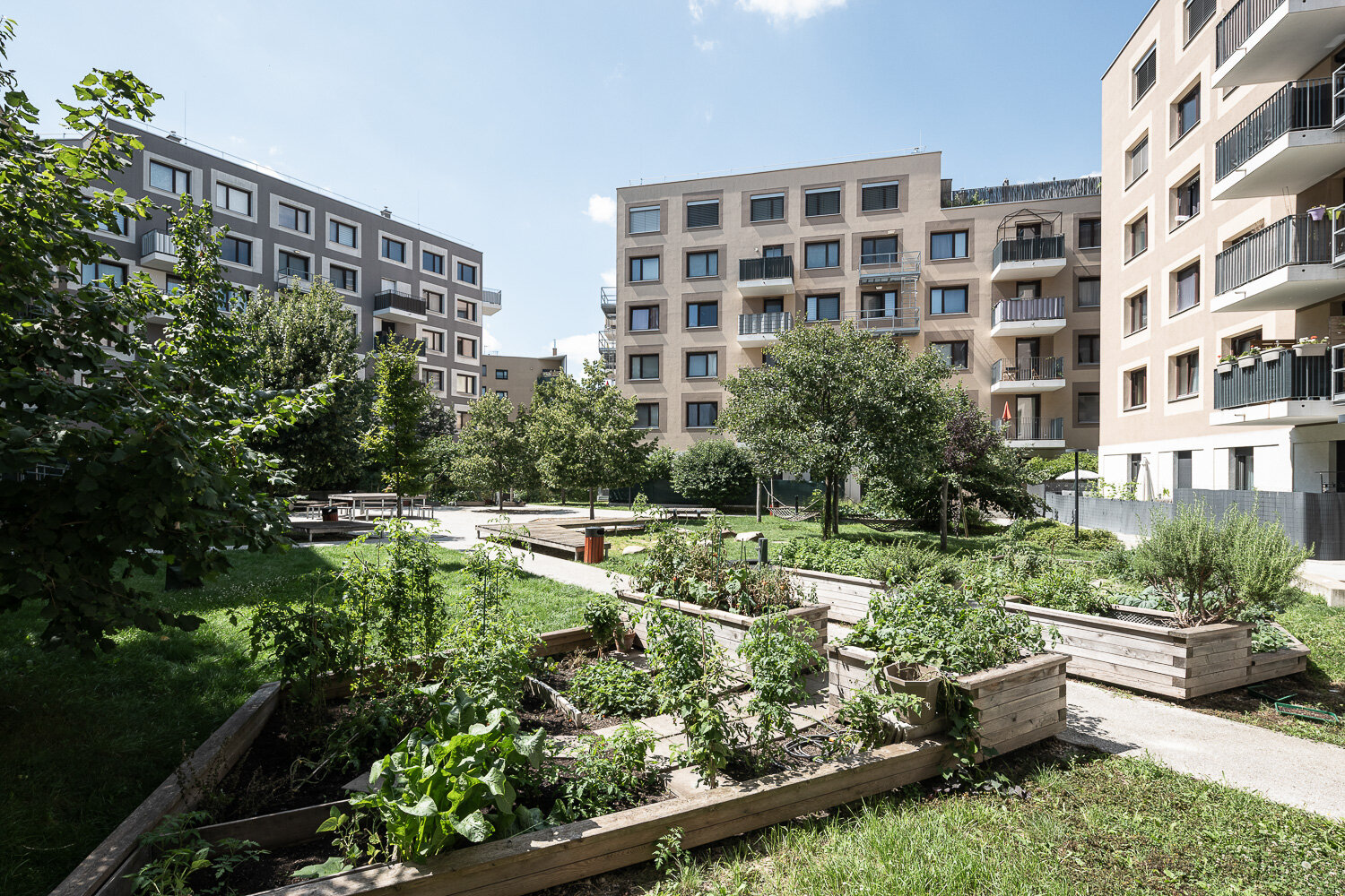 nachhaltiges Wohnen in der Seestadt intensiv begrünter Innenhof mehrere moderner Wohngebäude mit Gemüse-Hochbeeten
