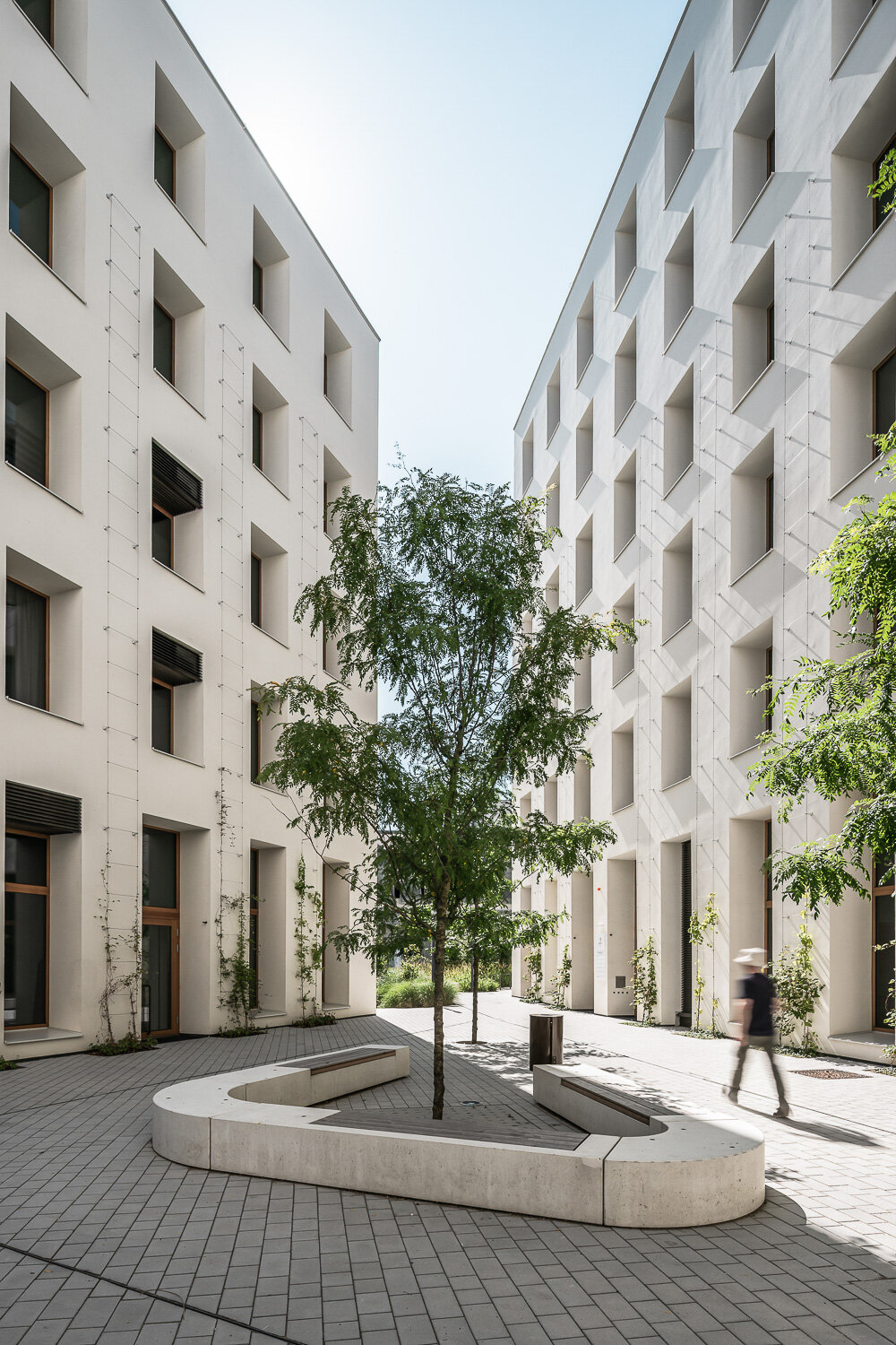 modernes weißes Bürogebäude aus mehreren Ziegelbauten und begrünter Fassade