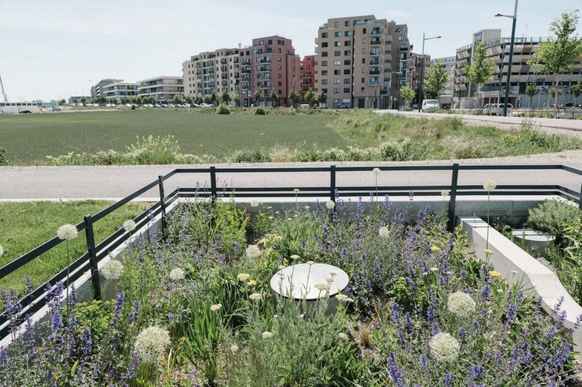 In den Medien: Die Seestadt als internationales Vorbild klimafitter Stadtentwicklung