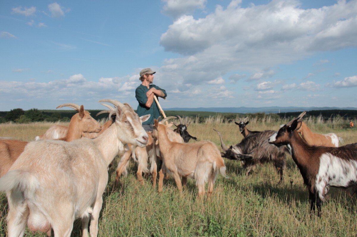 2025-04-asperner-terrassen