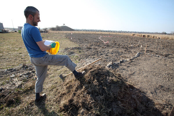 Seestadtgarten: Das Urban Gardening beginnt!