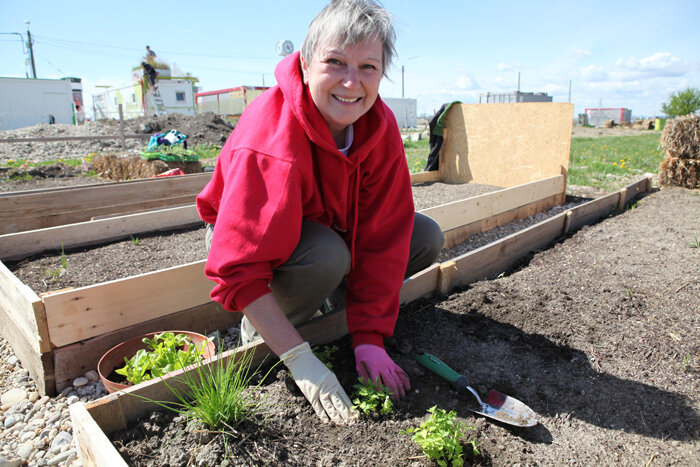 Seestadtgarten: Zuwachs willkommen!