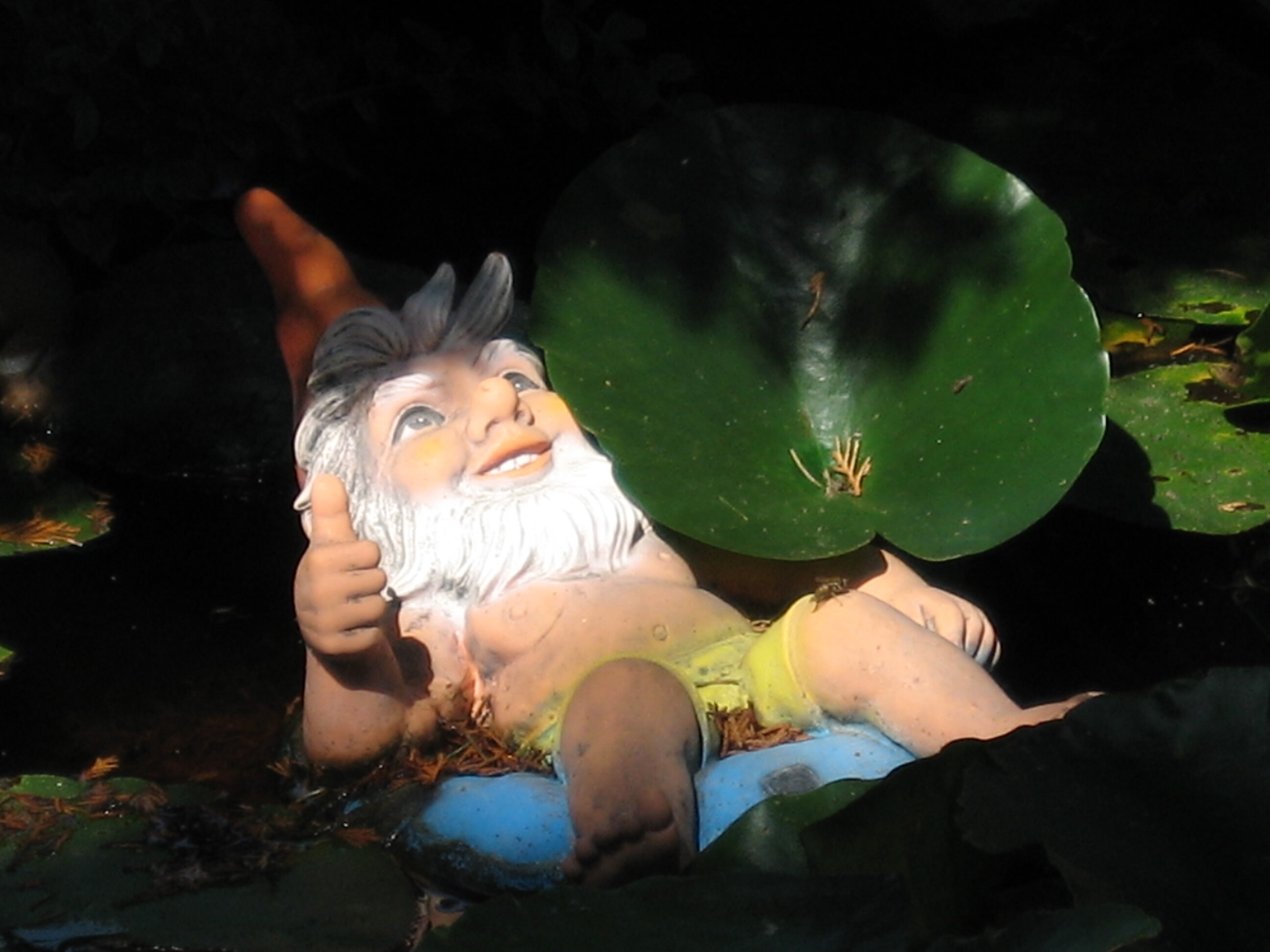 stadt.schreiben: Hausbesitzernot