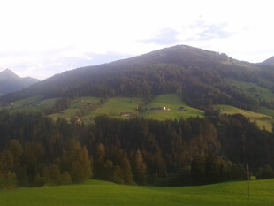ex.alp: Mittagessen mit dem Standing Committee