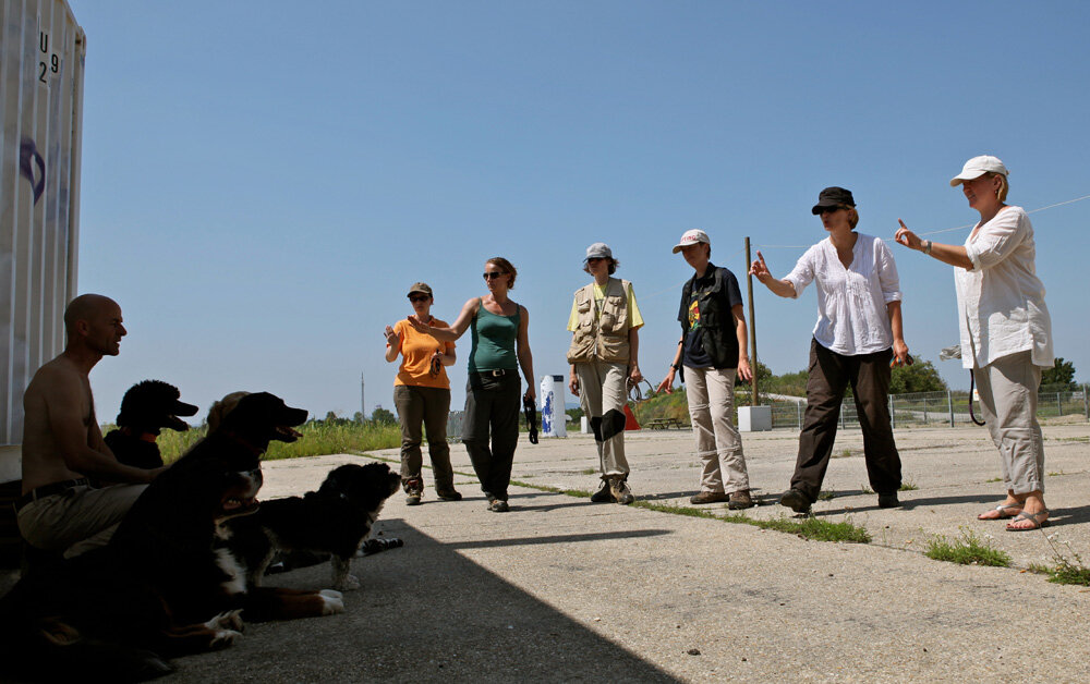 Daniel Aschwanden: „PARCOURS III – Menschen, Hunde, Städte“