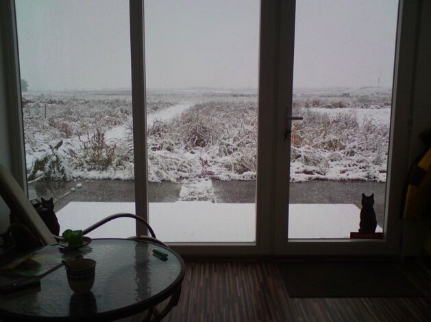 10. Forschungsbericht aus dem Mikrohaus