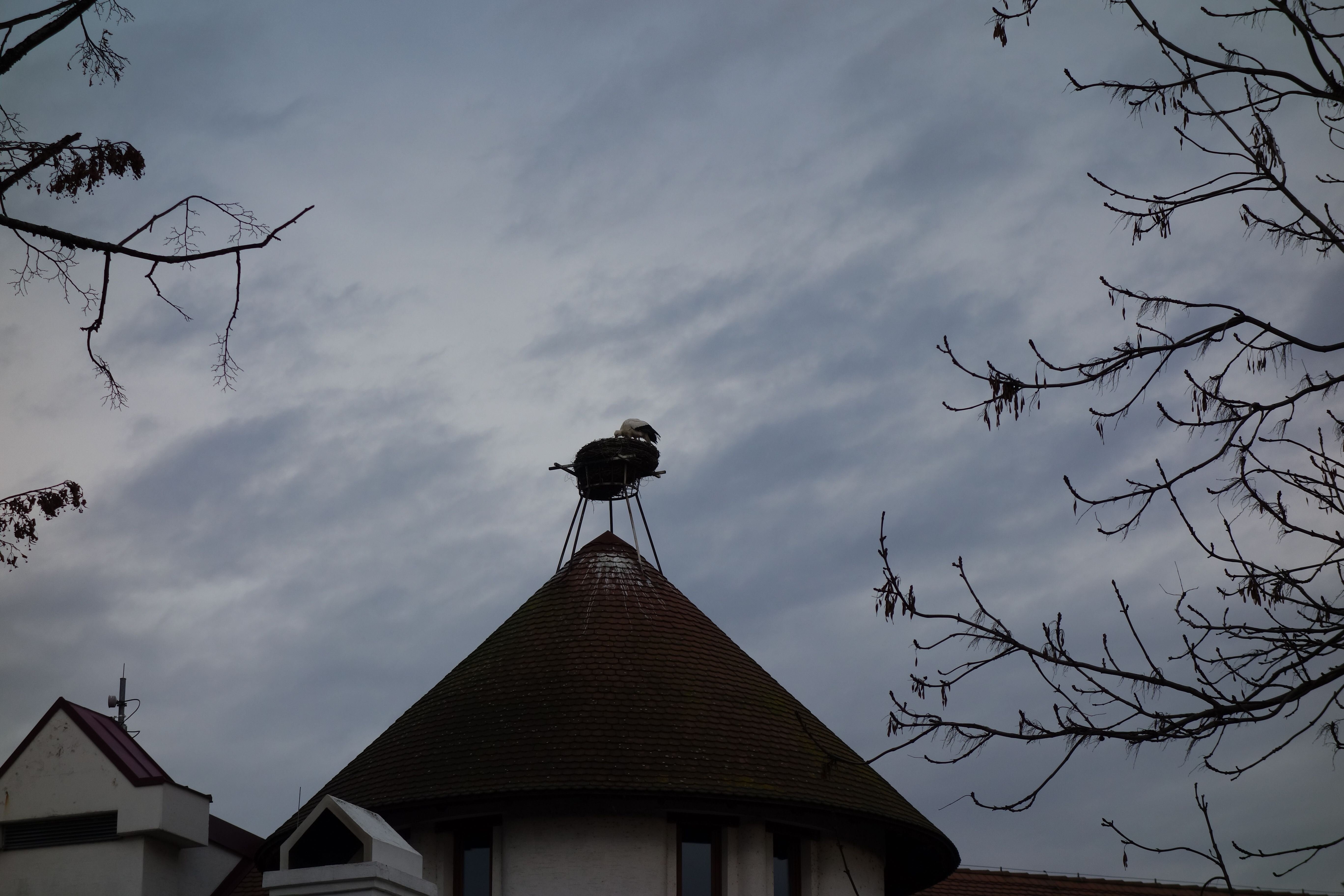 stadt.schreiben: Zukunftsprognosen