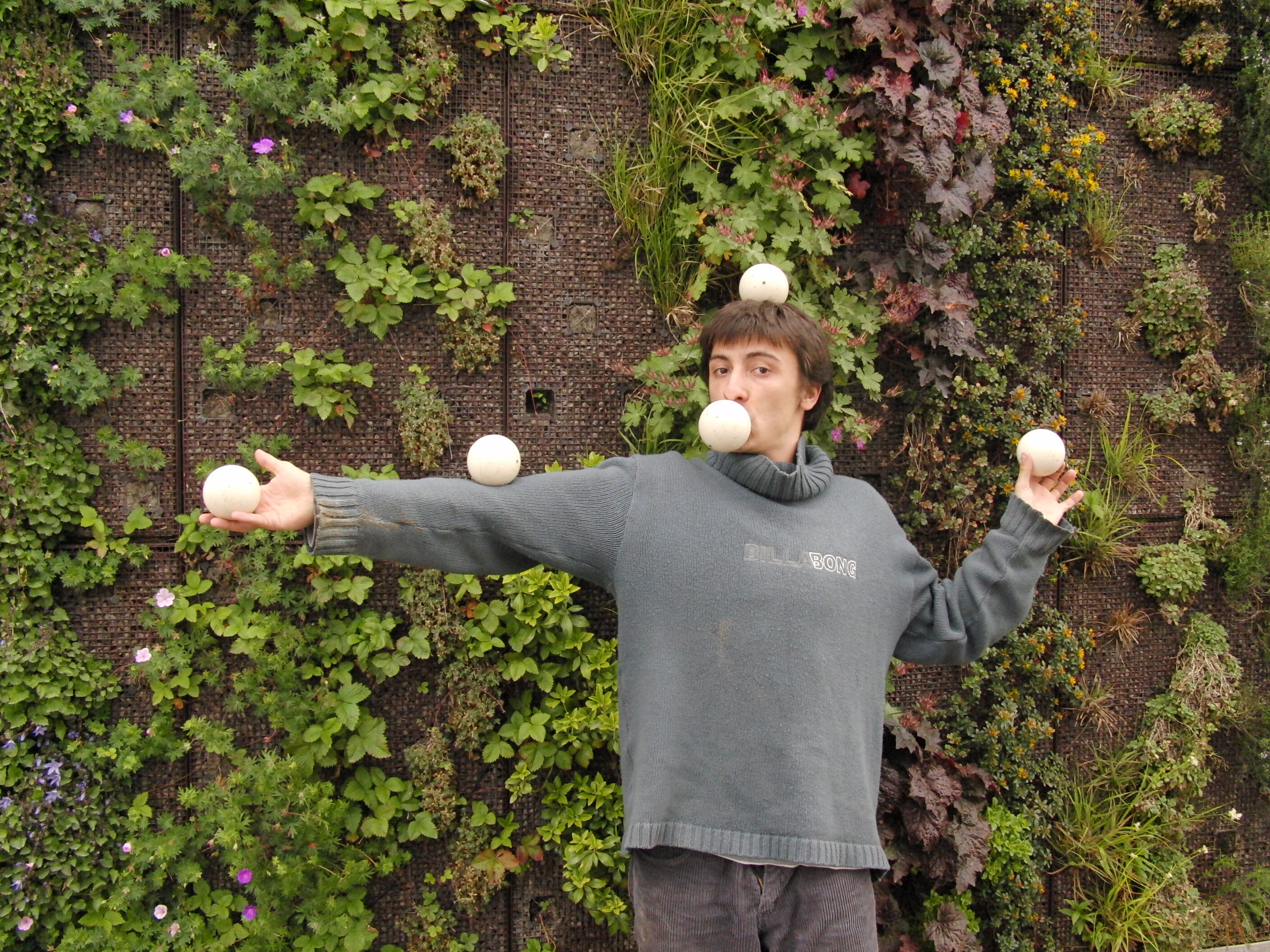 Microhaus - Artist in Residence