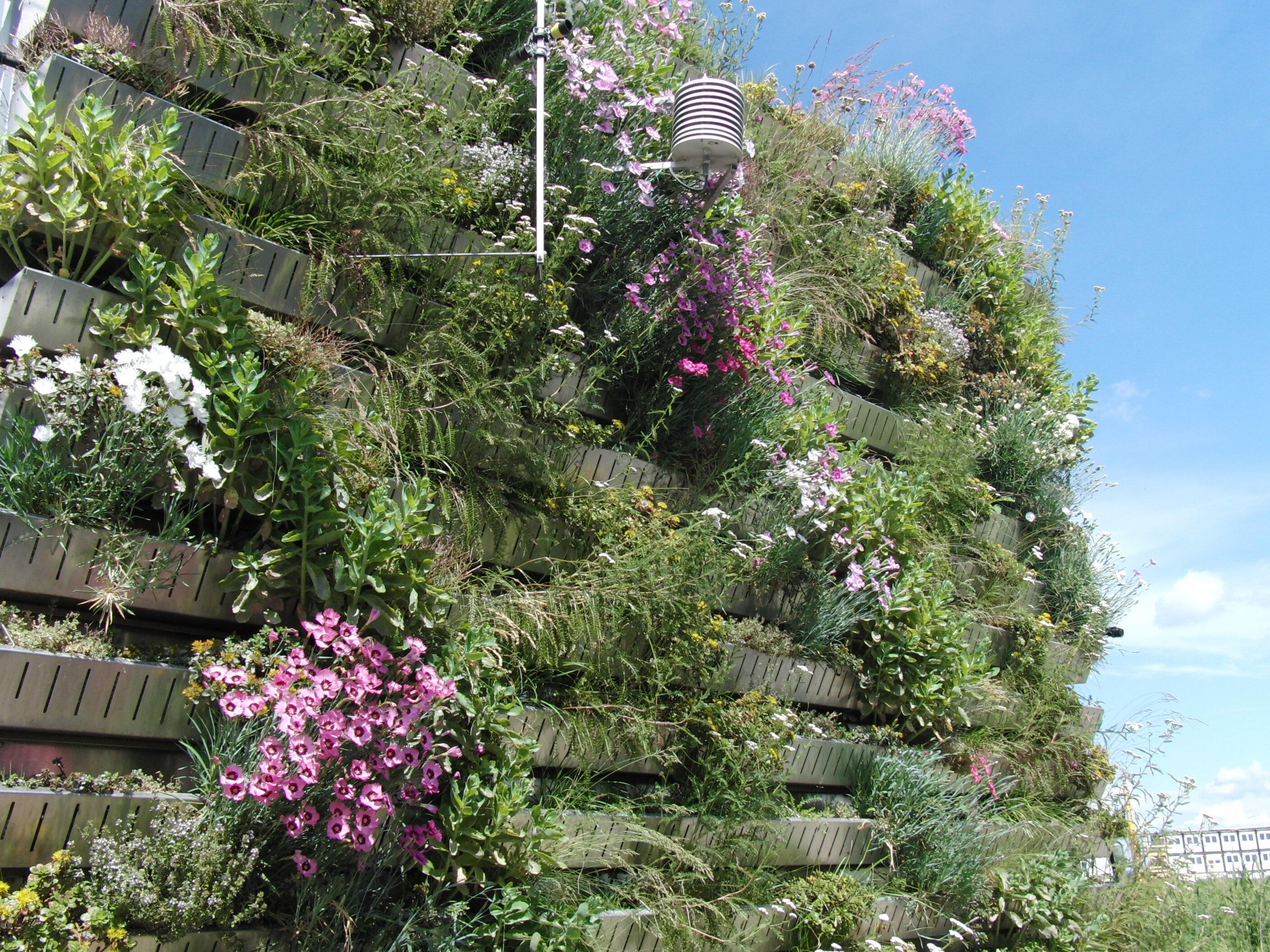 Neue Bewohnerin im Microhaus