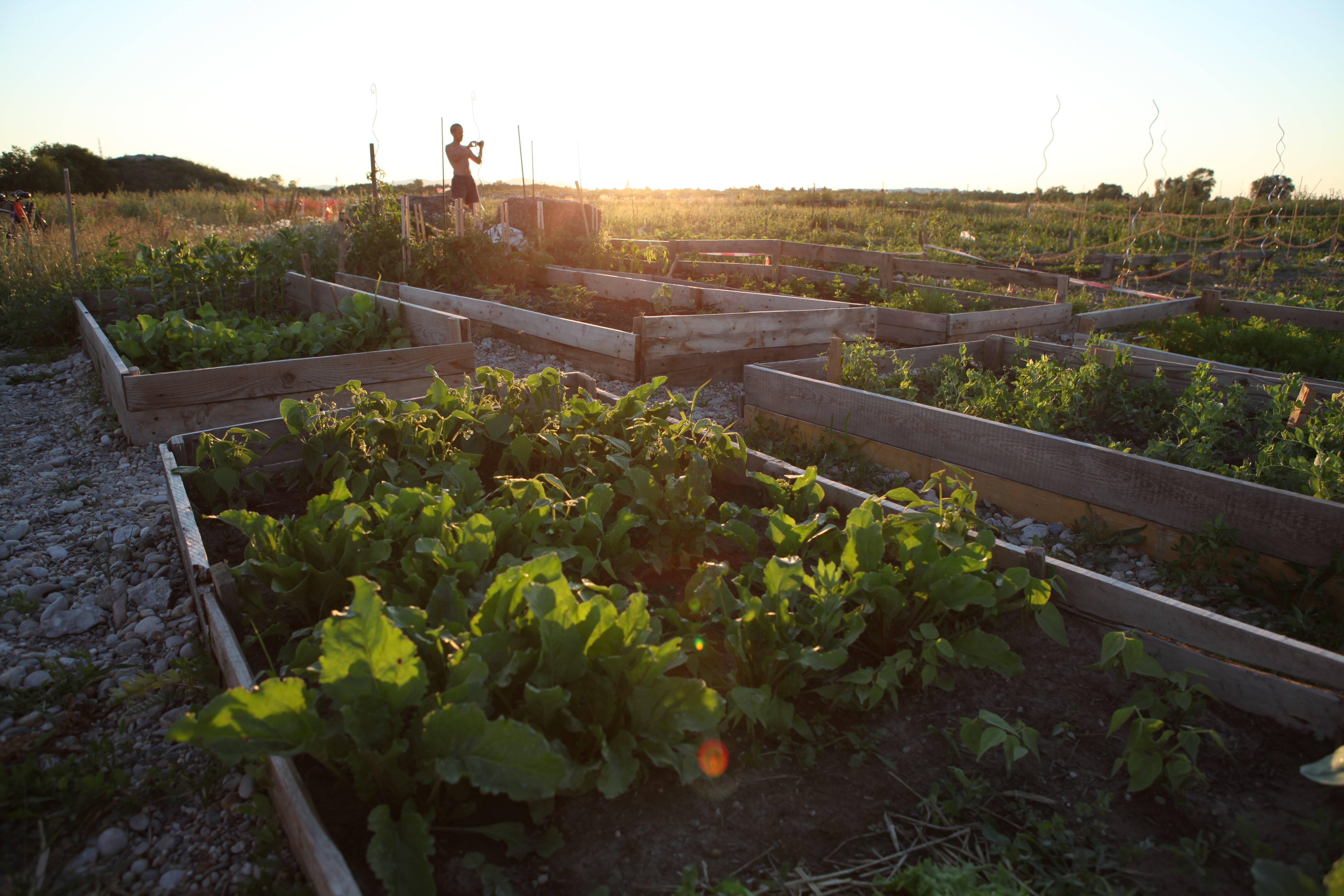 Gemeinsam LandWIRtschaften, 17.10.2013, ab 19 Uhr