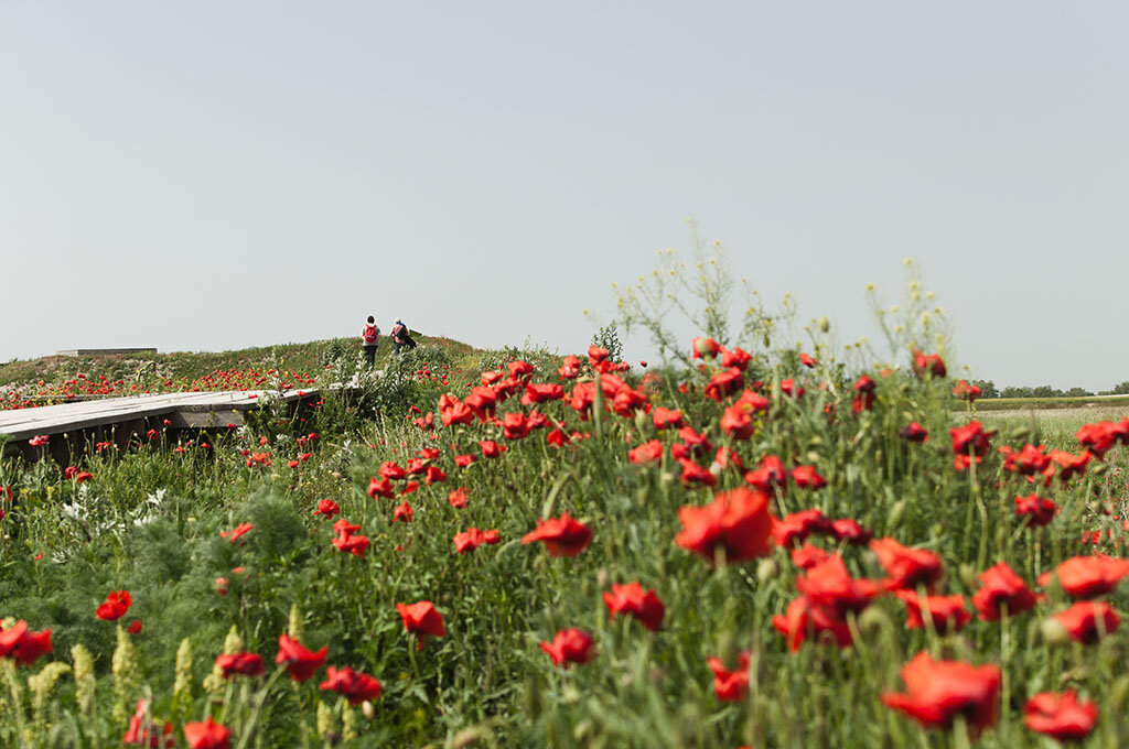 Seestadt Blitzlicht #4