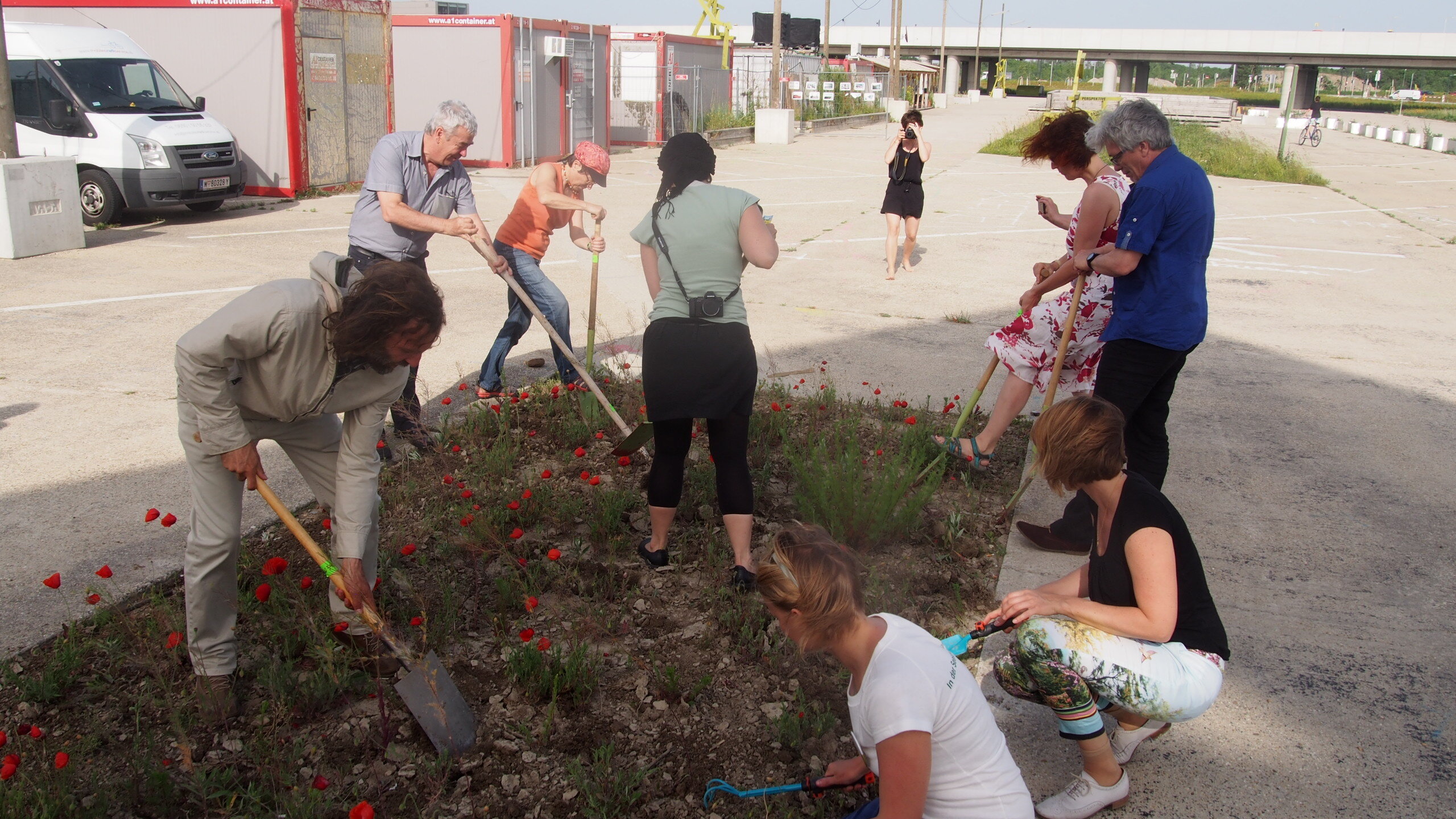 Graben, Säen, Gießen