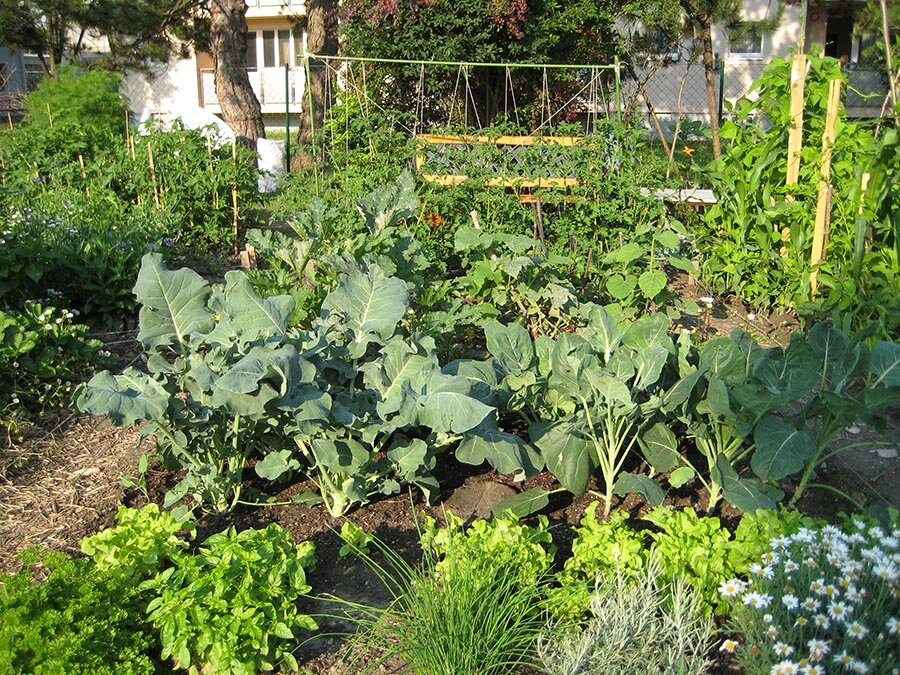 Gemeinsam garteln im Madame d’Ora-Park