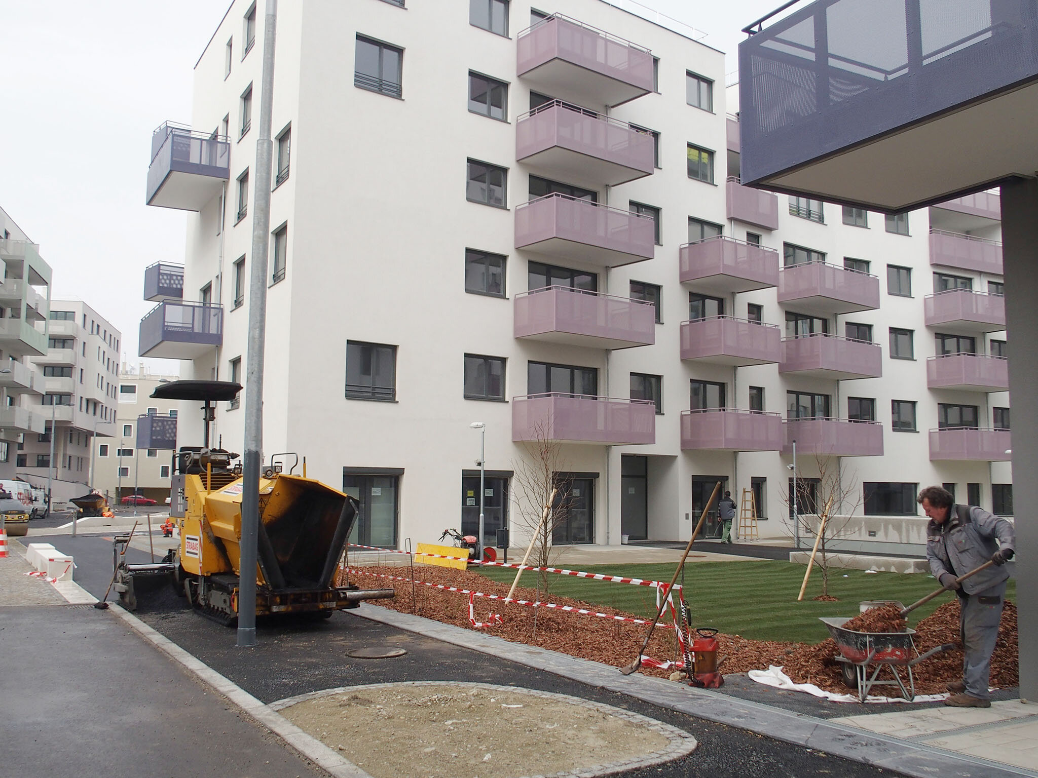 Seestadt Blitzlicht #14