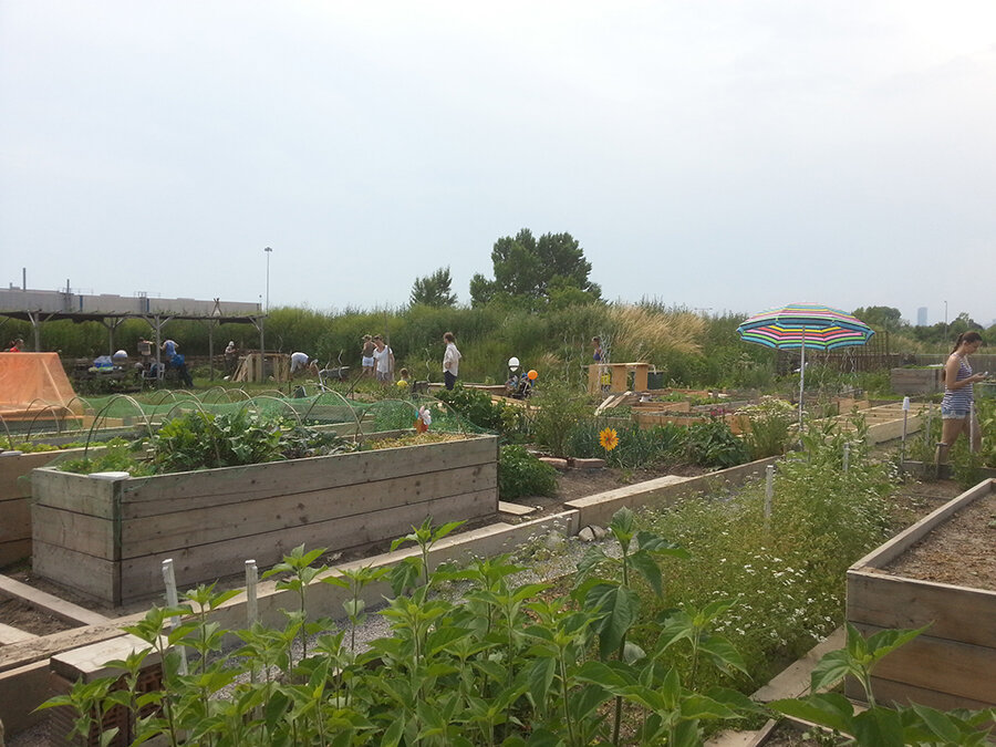 Verein SeestadtGarten stellt sich vor!
