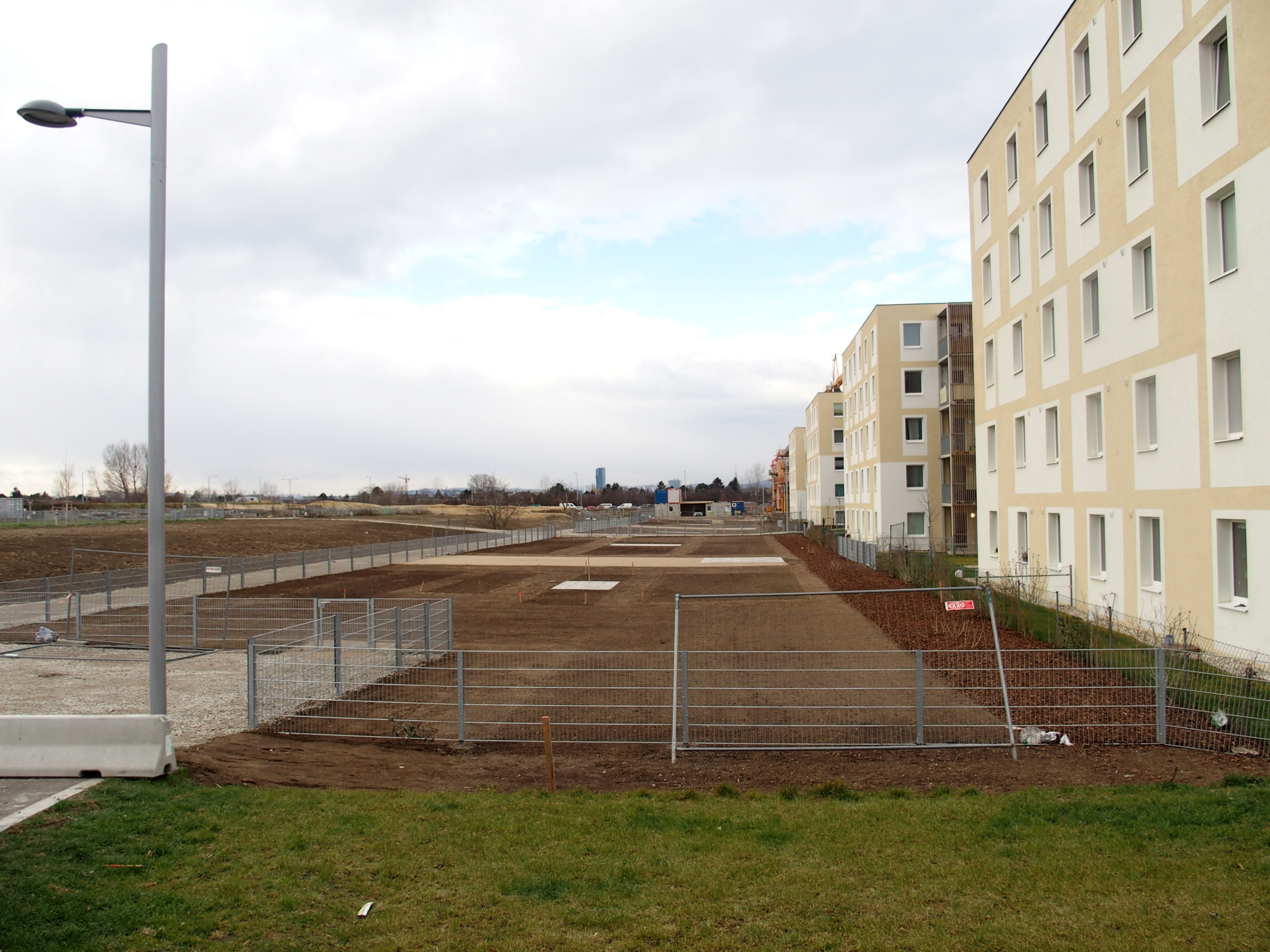 Seestadt Blitzlicht #24