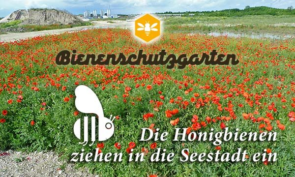 Vortrag - Bienenschutz