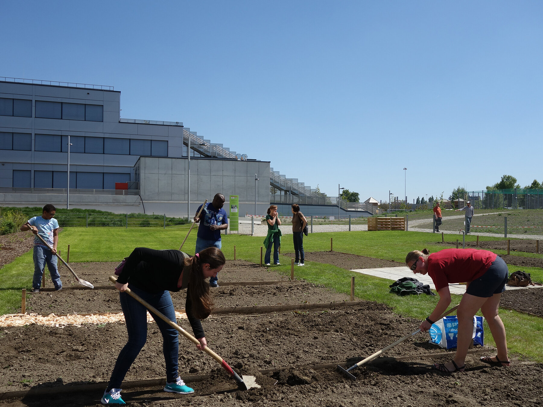Seestadtinitiative Gemeinschaftsgarten bringt NachbarInnen zusammen