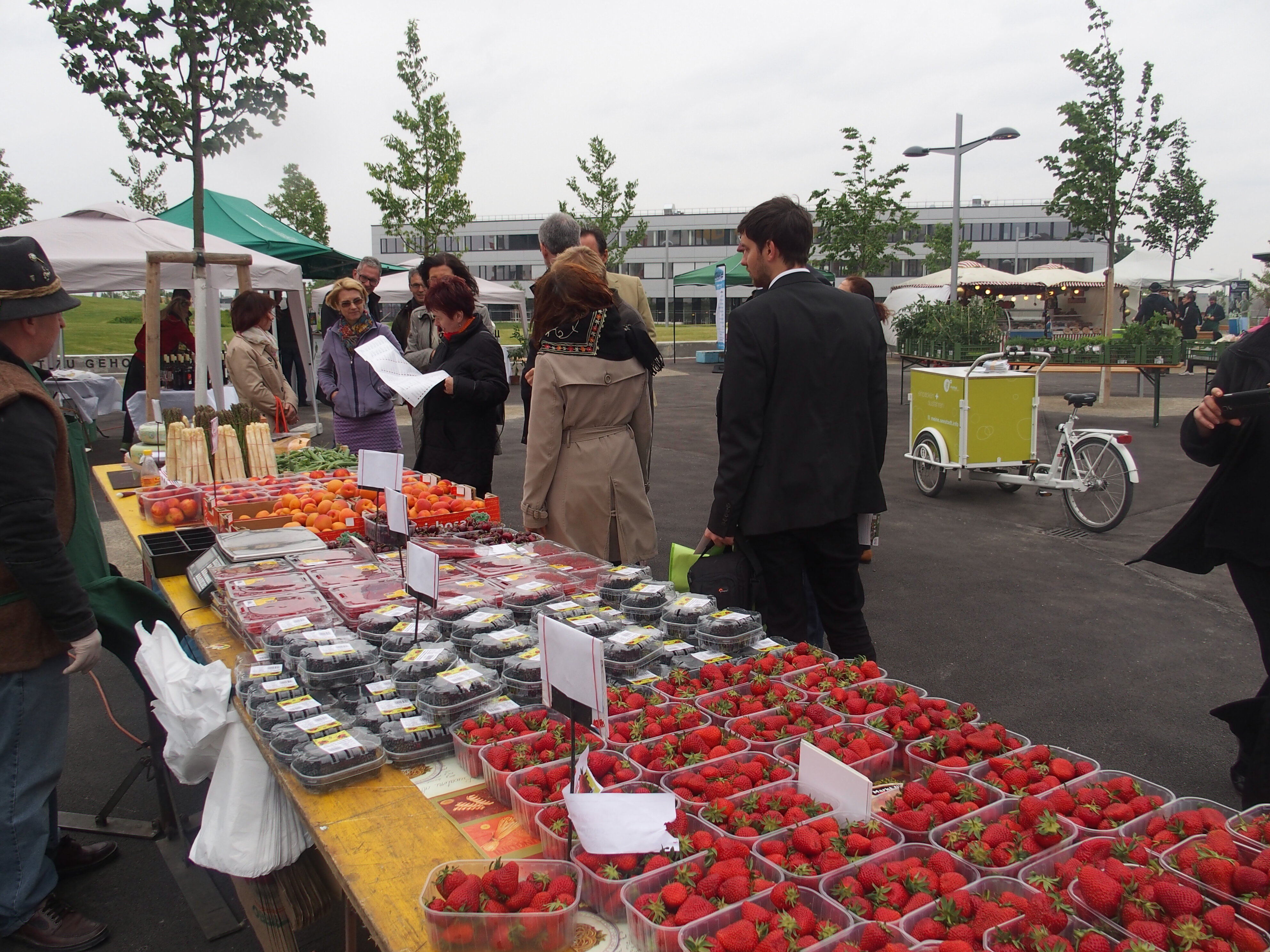 Terminverschiebung - Markt am Hannah-Arendt-Platz