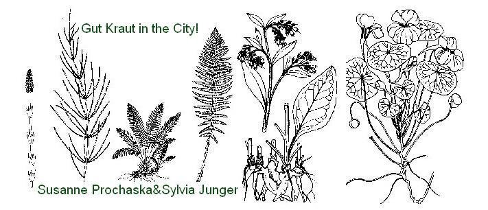 Unternehmen des Monats Mai