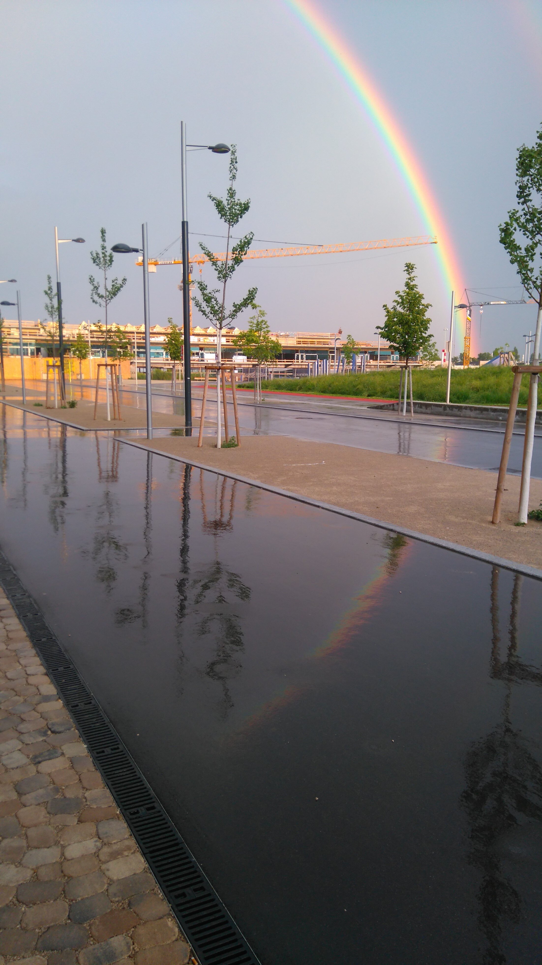 Seestadt Blitzlicht #29