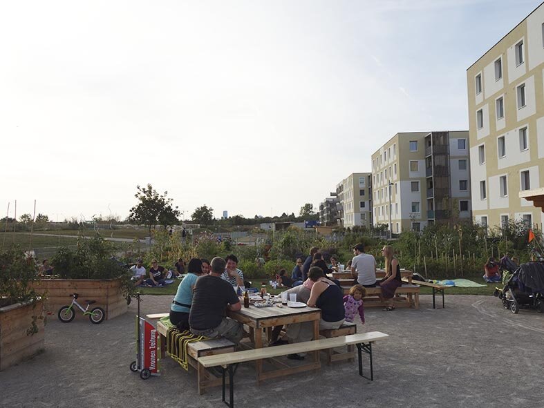 Ernte sei Dank im Gemeinschaftsgarten Madame d’Ora