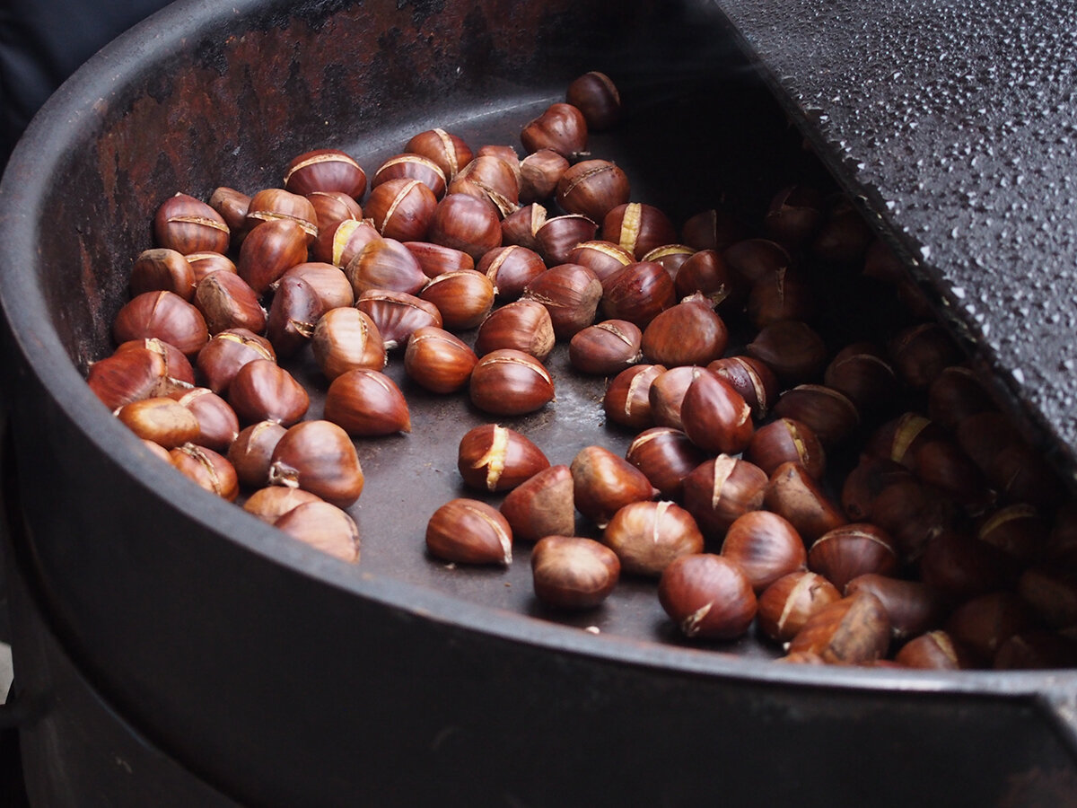 Maronifest der Generationenplattform in Aspern