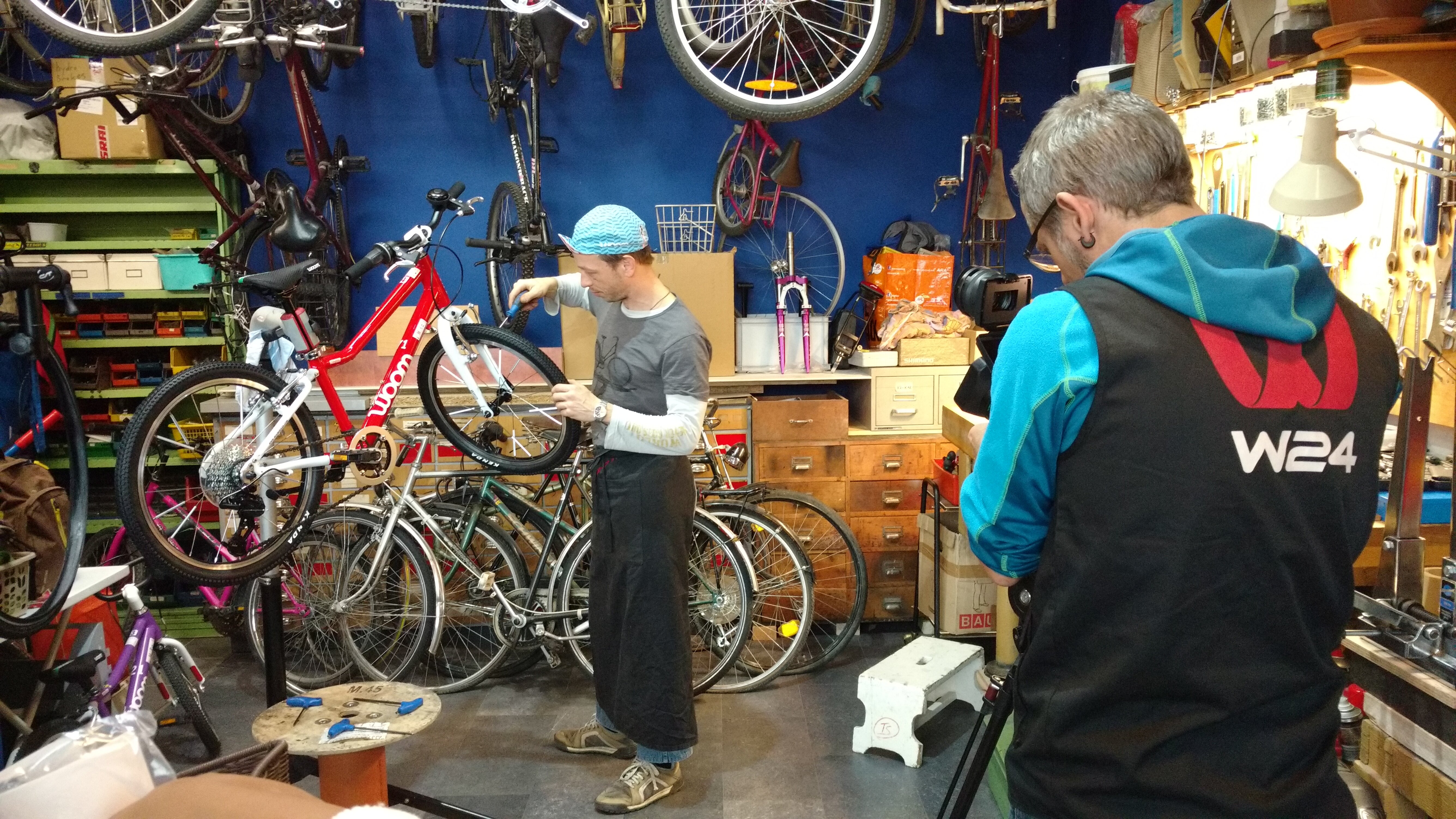 W24-Spezial zur Seestadt