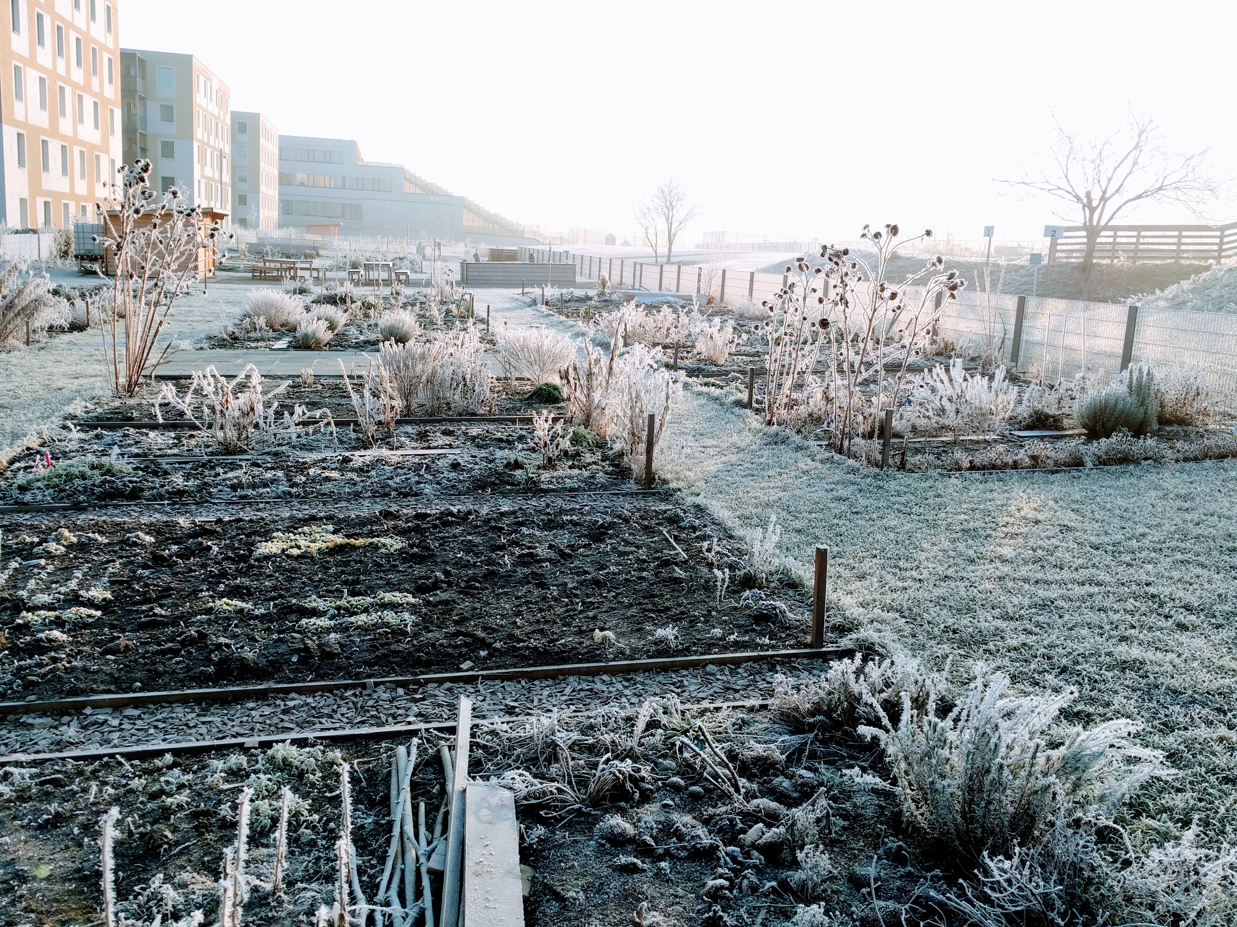 Seestadt Blitzlicht #36