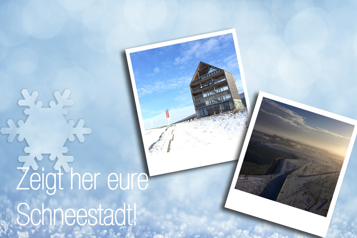 Collage mit Polaroidbildern im Winter von der Seestadt